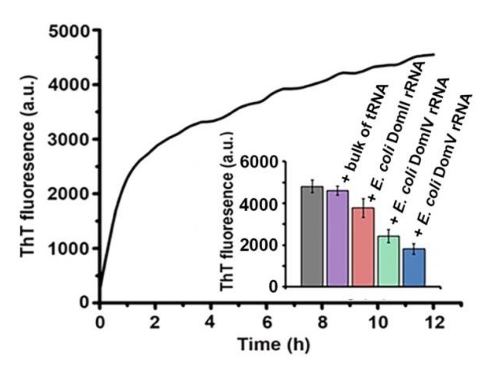 Ijms 21 06340 g002 Ijms 21 06340 g002