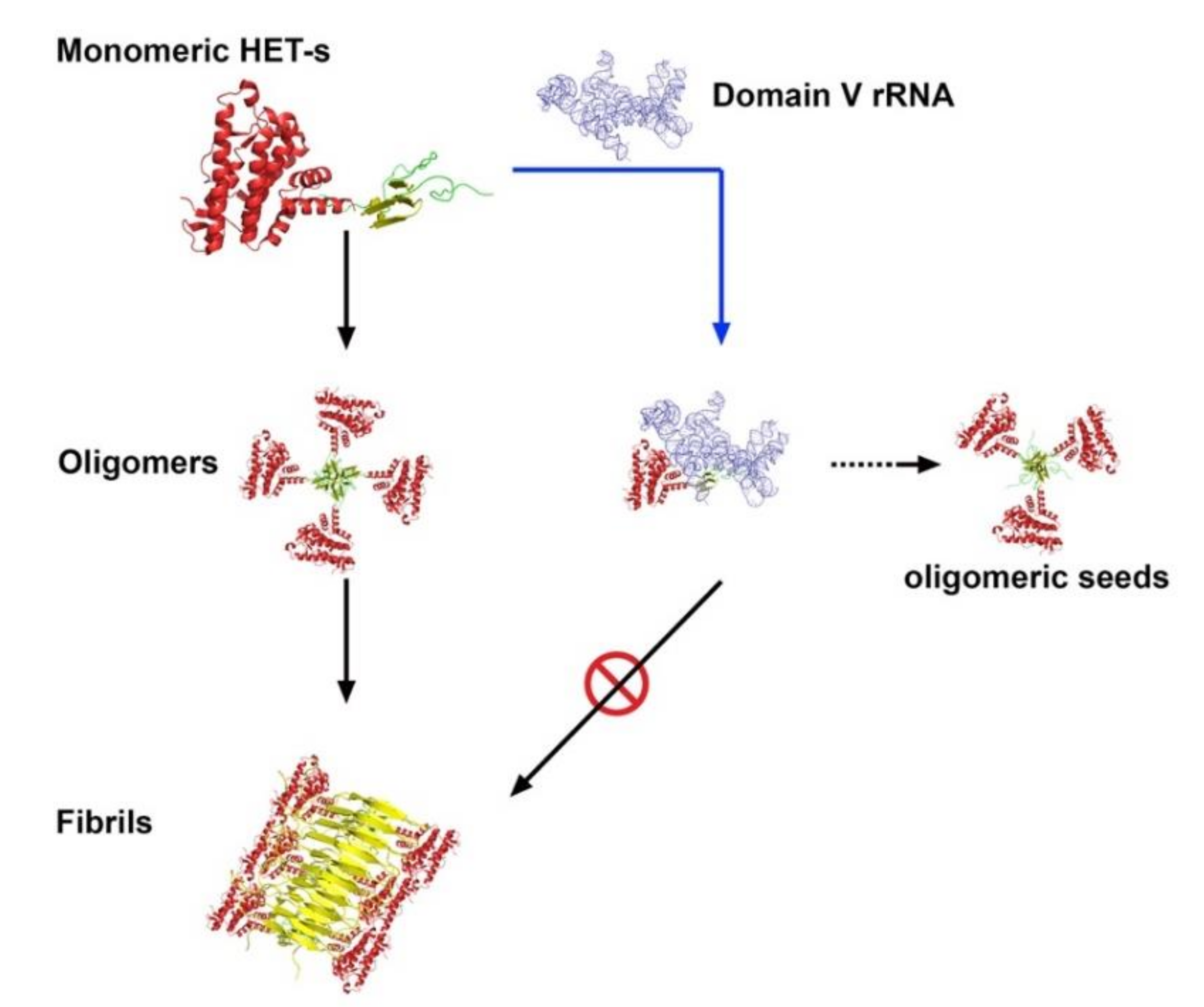 Ijms 21 06340 g007 Ijms 21 06340 g007