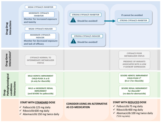 CDK4/6 Inhibitors in Breast Cancer Treatment: Potential Interactions ...