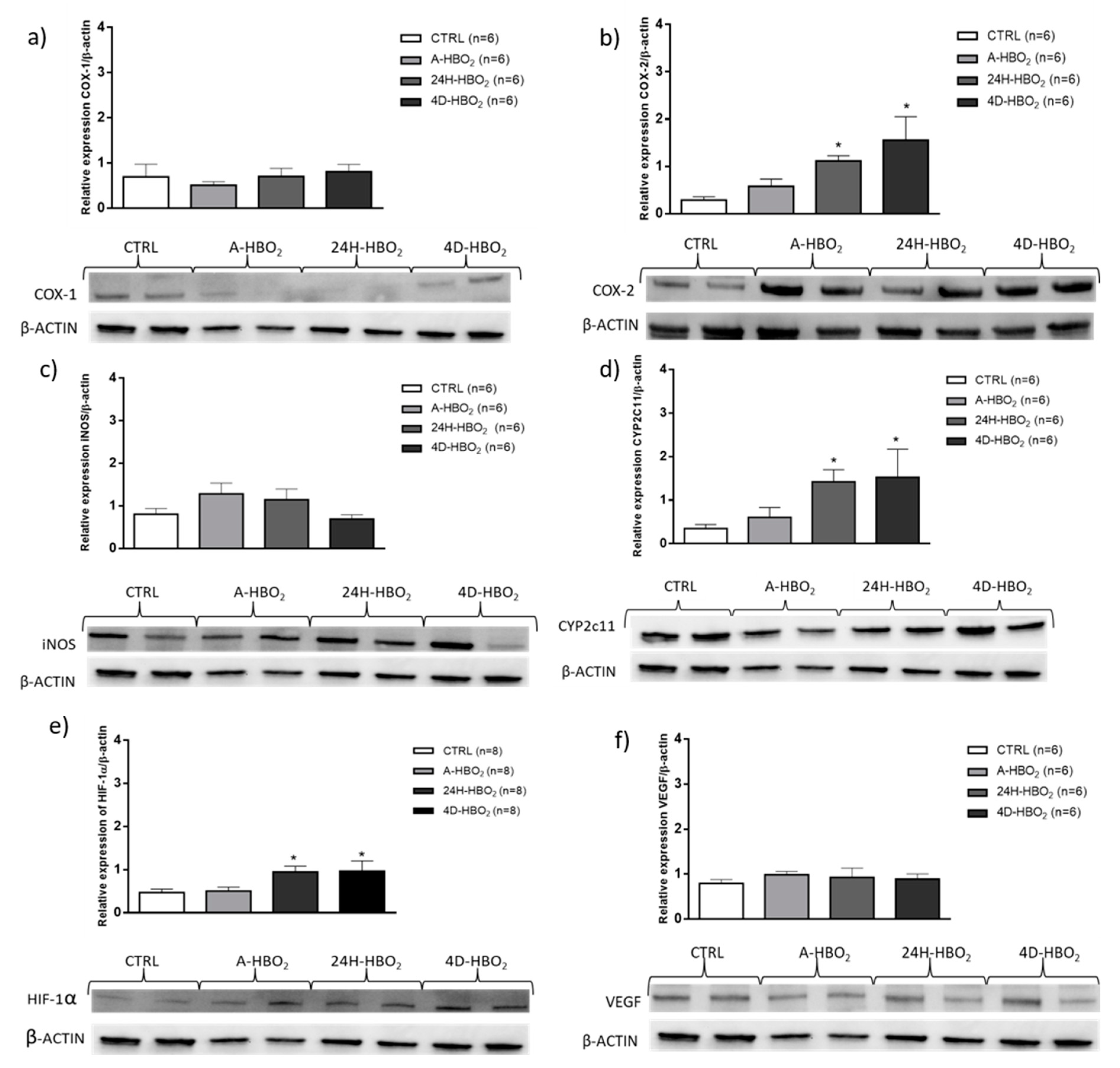 Ijms 21 06353 g005 Ijms 21 06353 g005