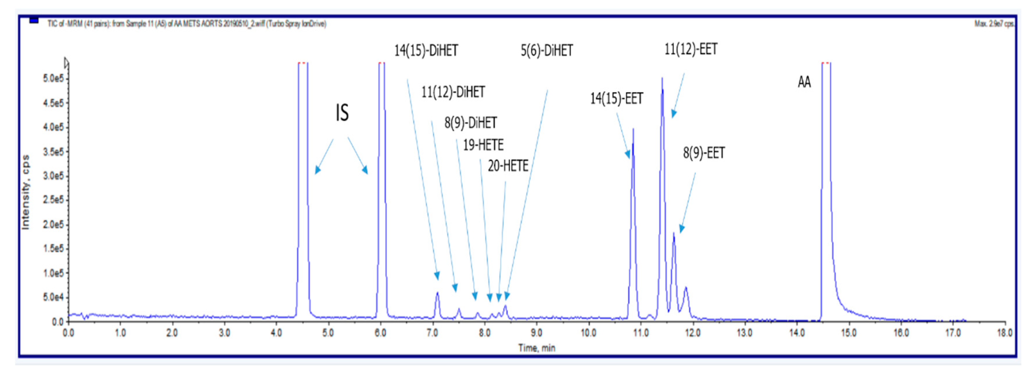 Ijms 21 06353 g006 Ijms 21 06353 g006