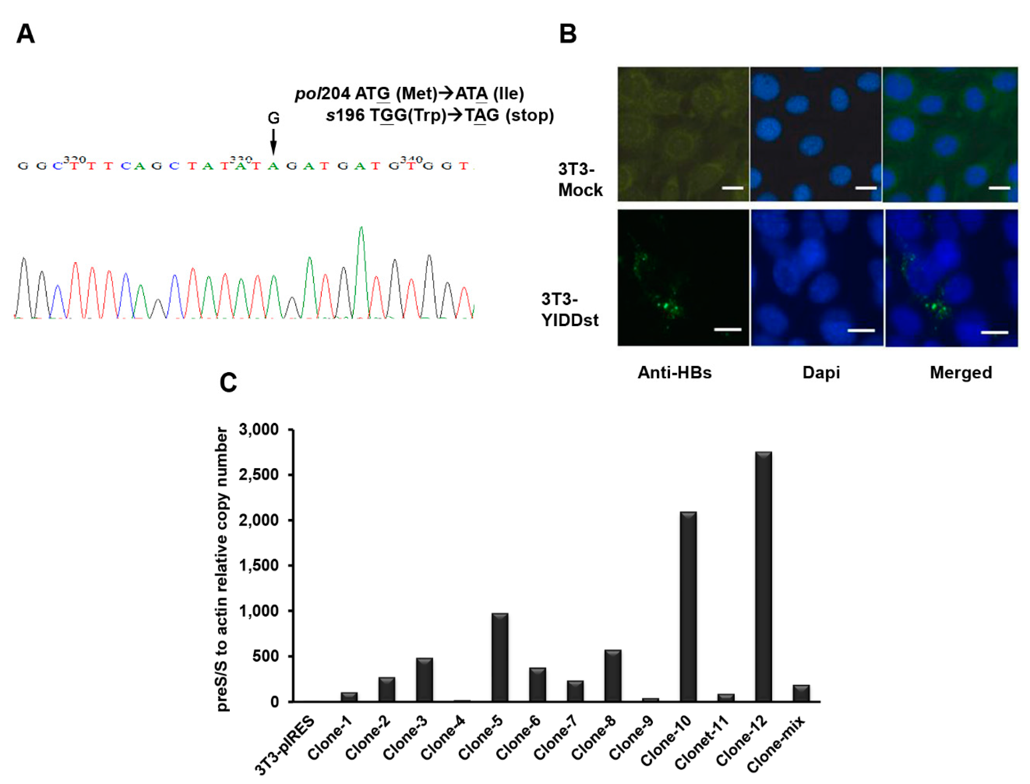 Ijms 21 06366 g001 Ijms 21 06366 g001