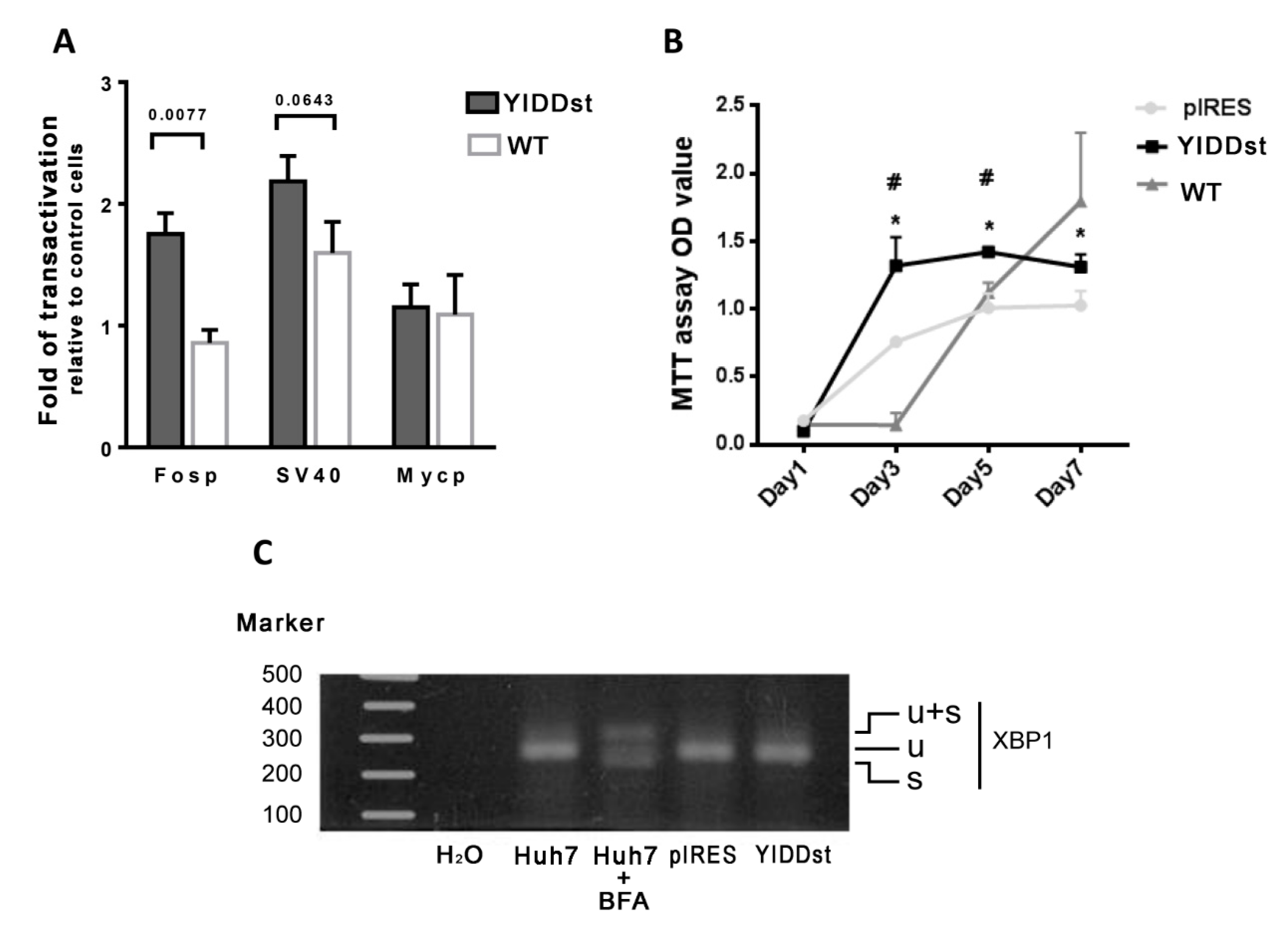 Ijms 21 06366 g002 Ijms 21 06366 g002