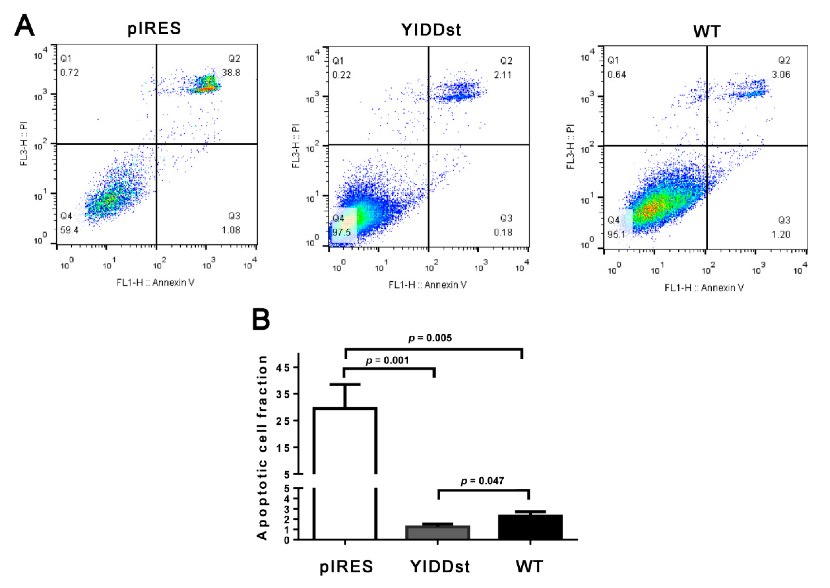 Ijms 21 06366 g003 Ijms 21 06366 g003