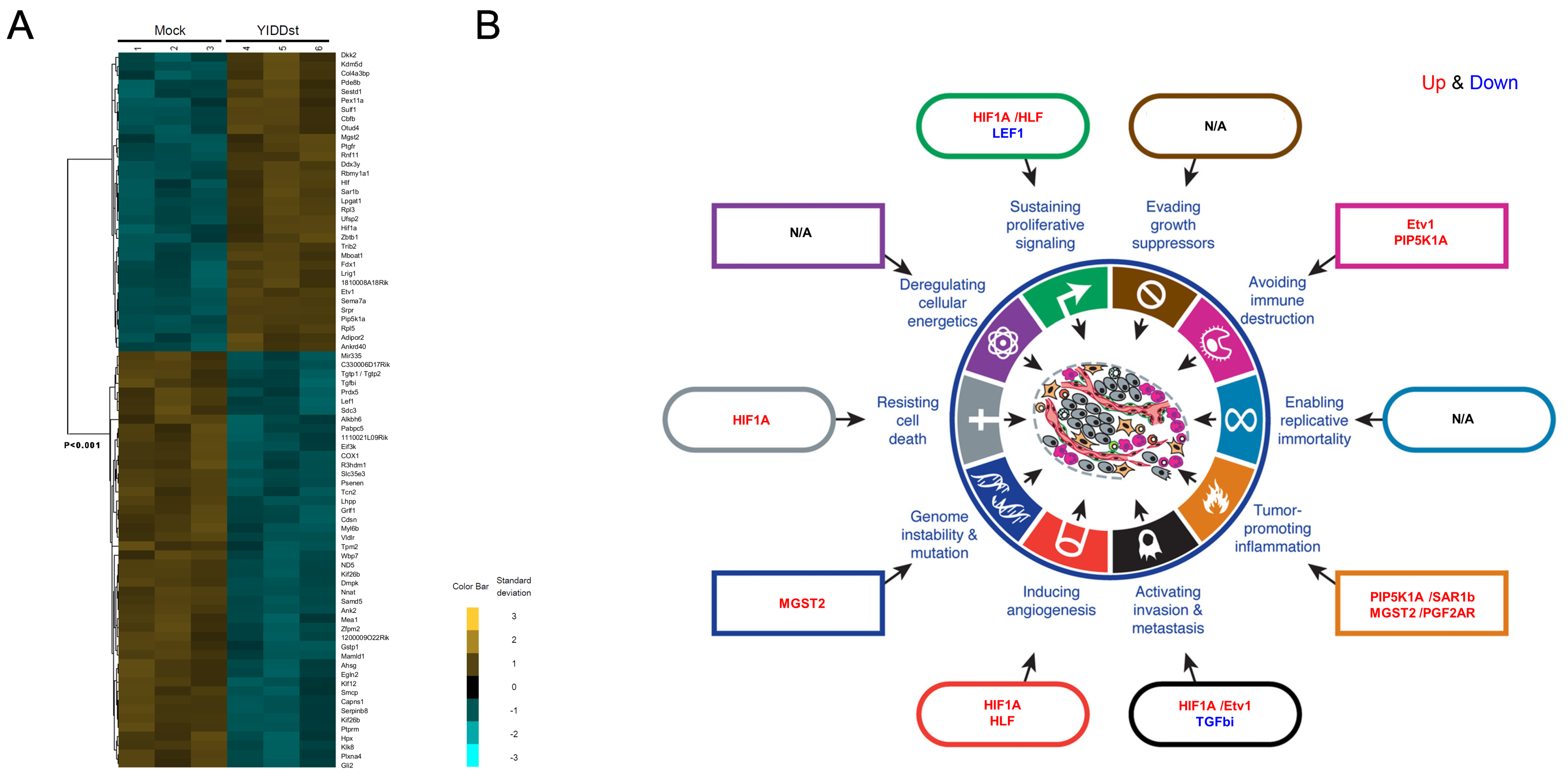 Ijms 21 06366 g005 Ijms 21 06366 g005