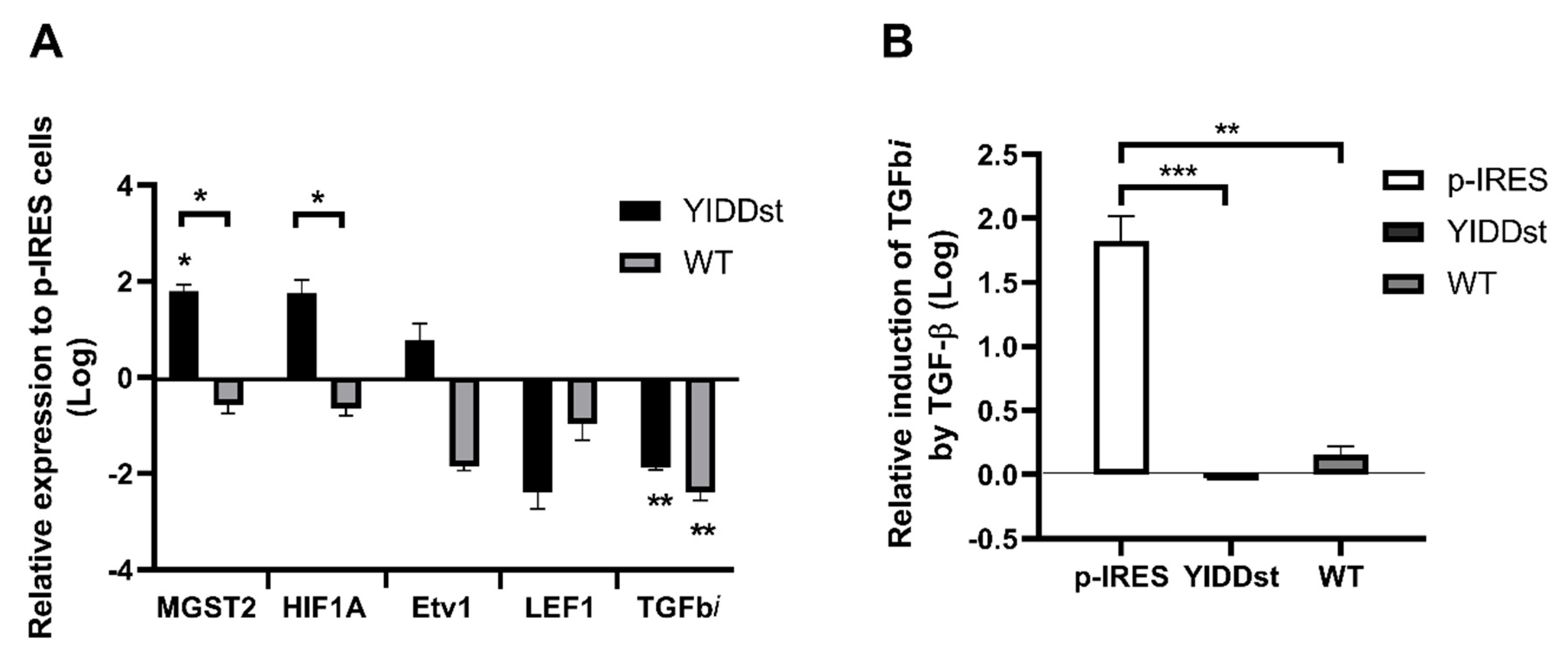 Ijms 21 06366 g006 Ijms 21 06366 g006