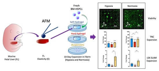 NanoAndMore colloidal AFM probes CP-PNPL-BSG-C used in a recent research - news