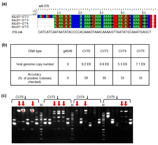 High-Throughput Cloning and Characterization of Emerging