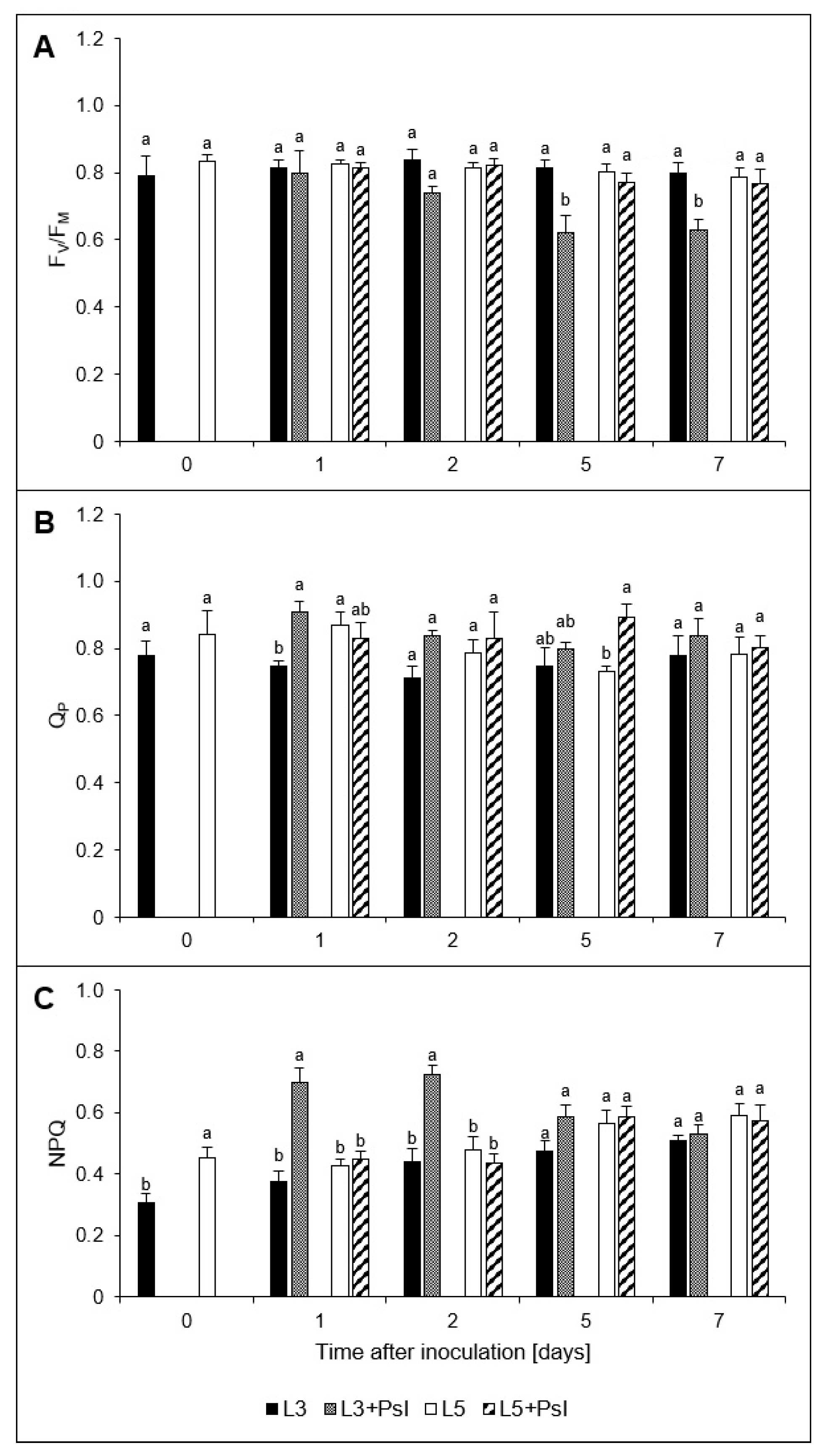 Ijms 21 06378 g002 Ijms 21 06378 g002