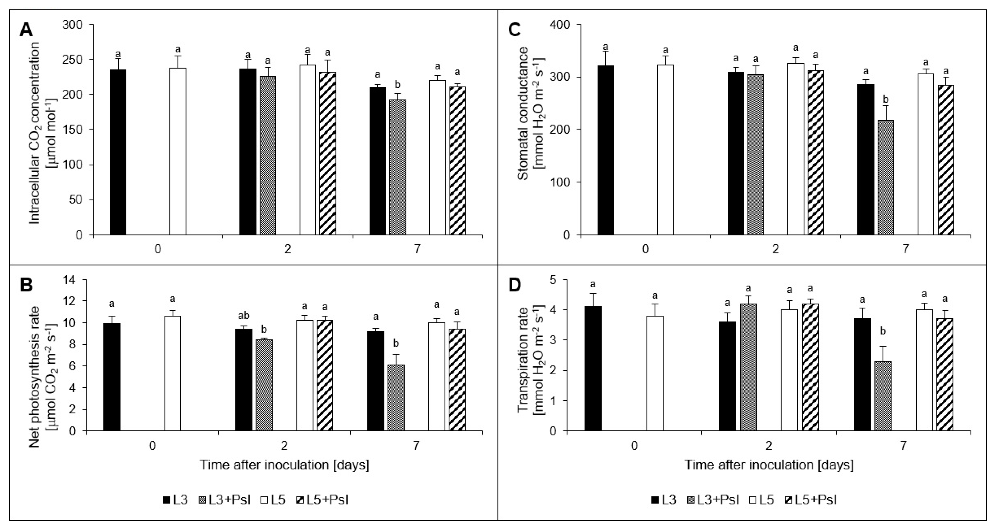 Ijms 21 06378 g003 Ijms 21 06378 g003