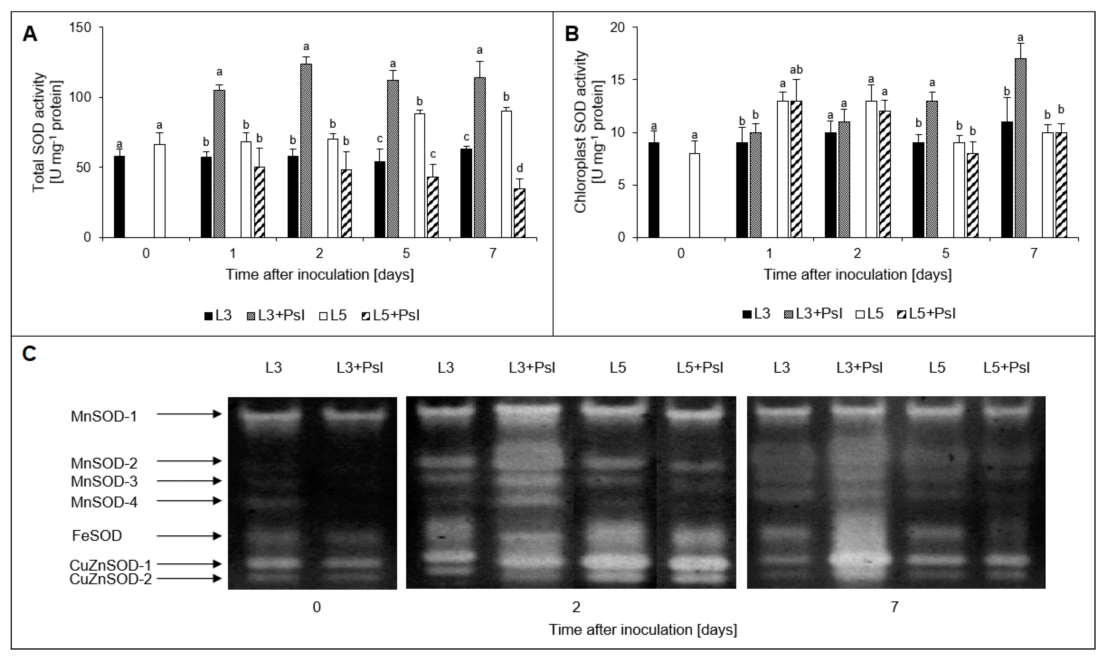 Ijms 21 06378 g004 Ijms 21 06378 g004