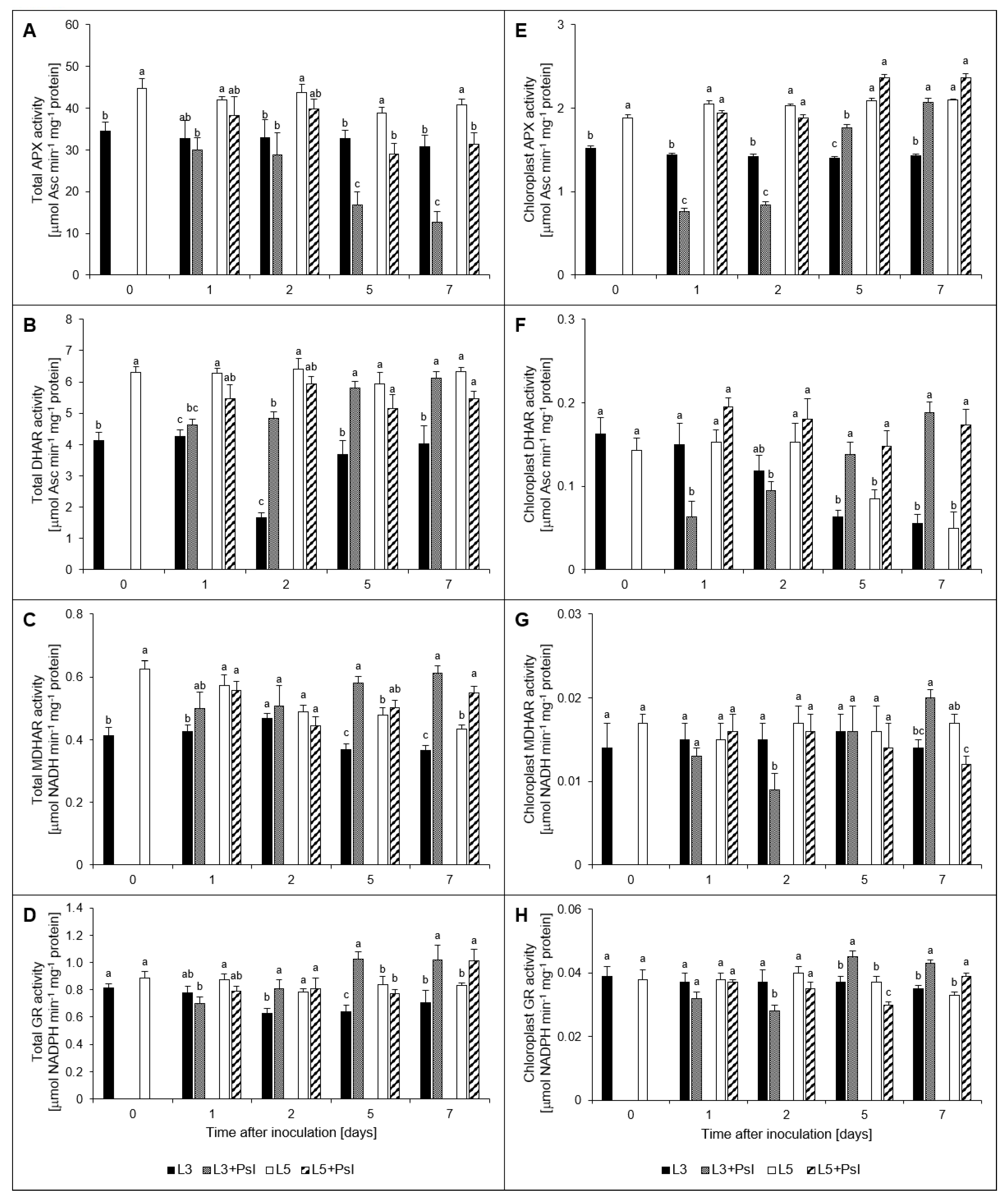 Ijms 21 06378 g006 Ijms 21 06378 g006