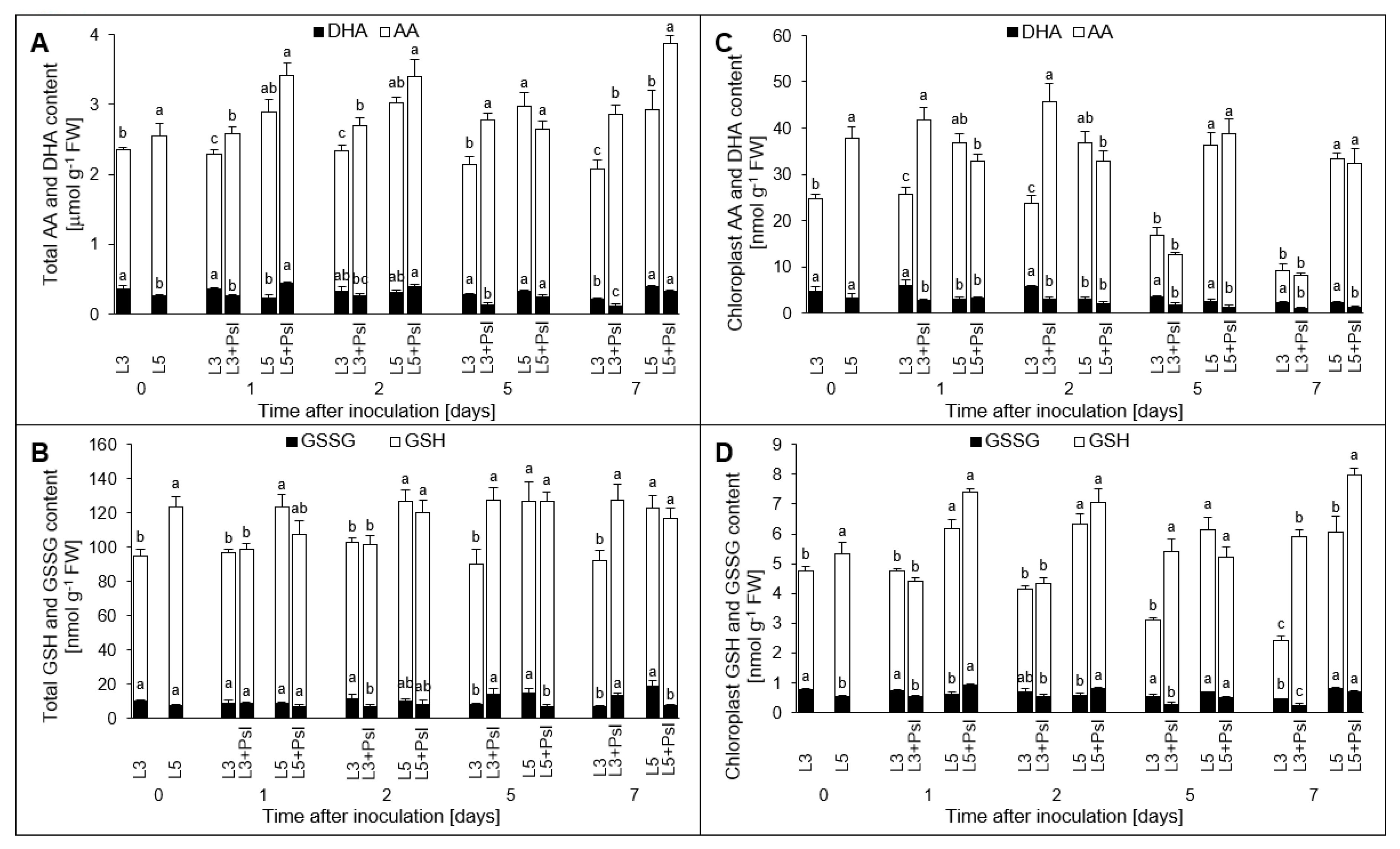 Ijms 21 06378 g007 Ijms 21 06378 g007