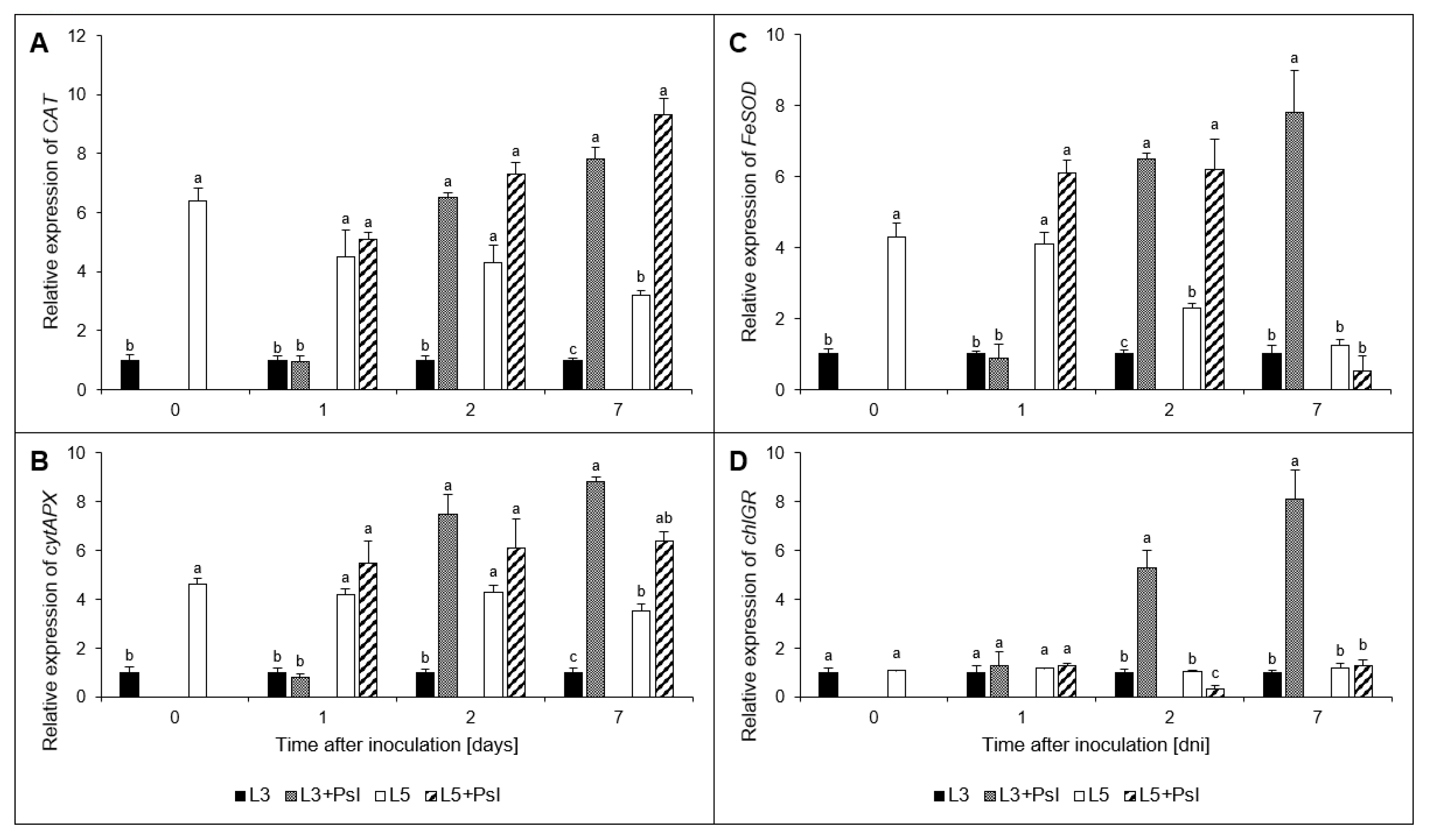 Ijms 21 06378 g008 Ijms 21 06378 g008