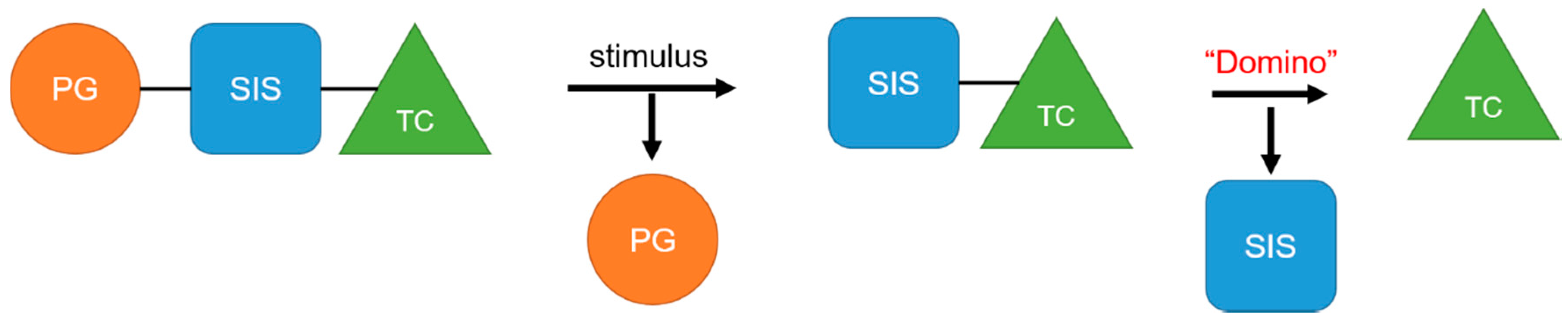 Ijms 21 06380 g009