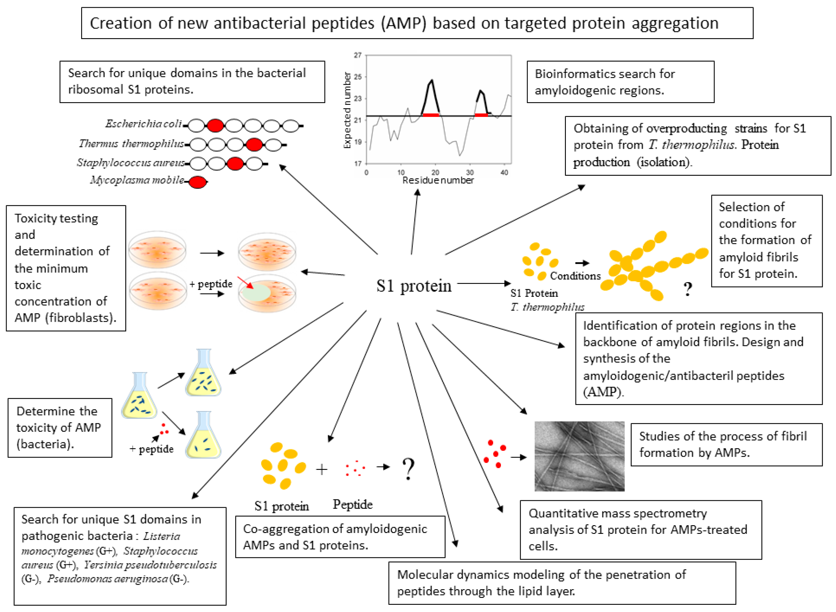 Ijms 21 06382 g001 Ijms 21 06382 g001