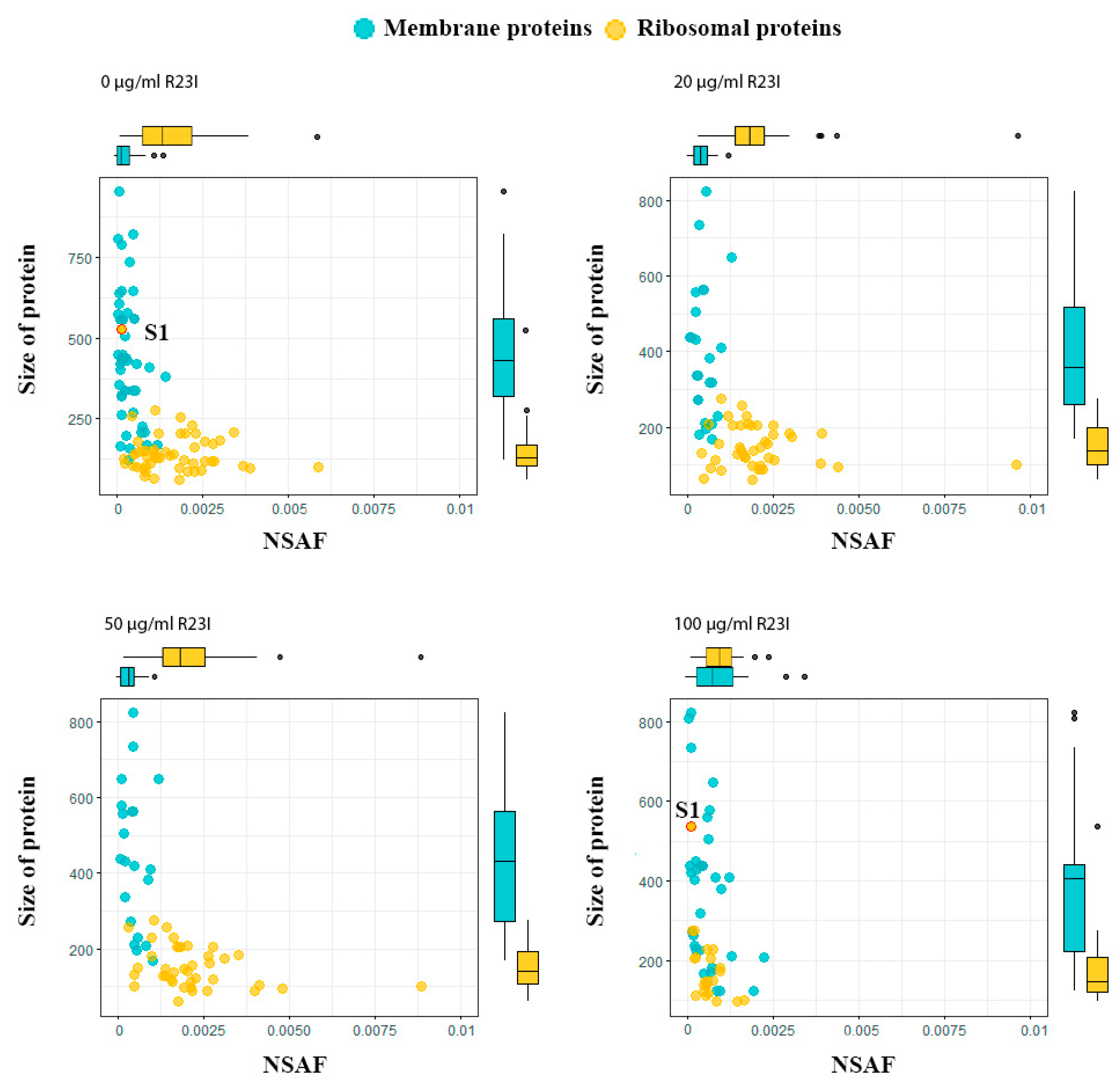 Ijms 21 06382 g009 Ijms 21 06382 g009