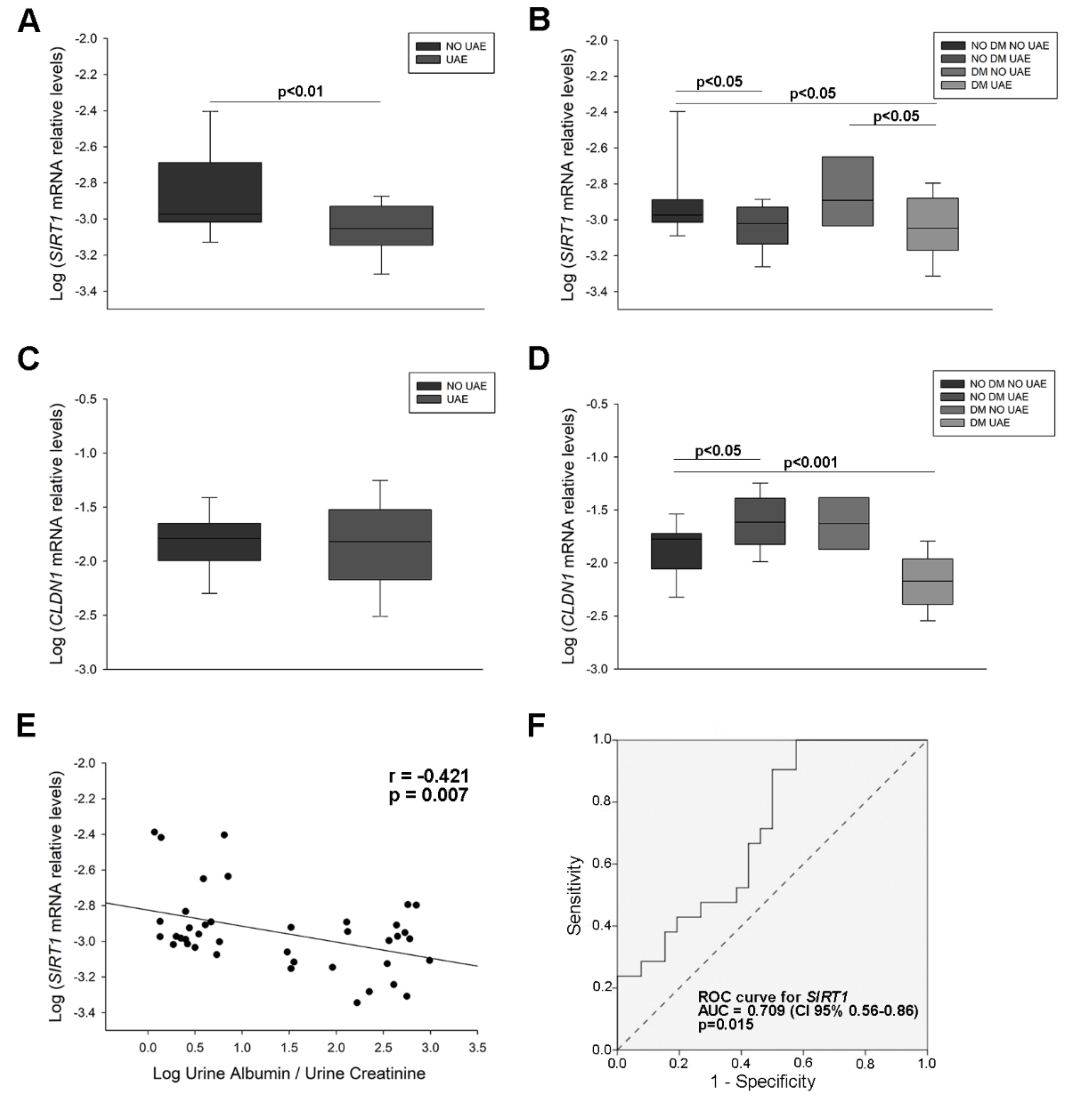 Ijms 21 06390 g001 Ijms 21 06390 g001