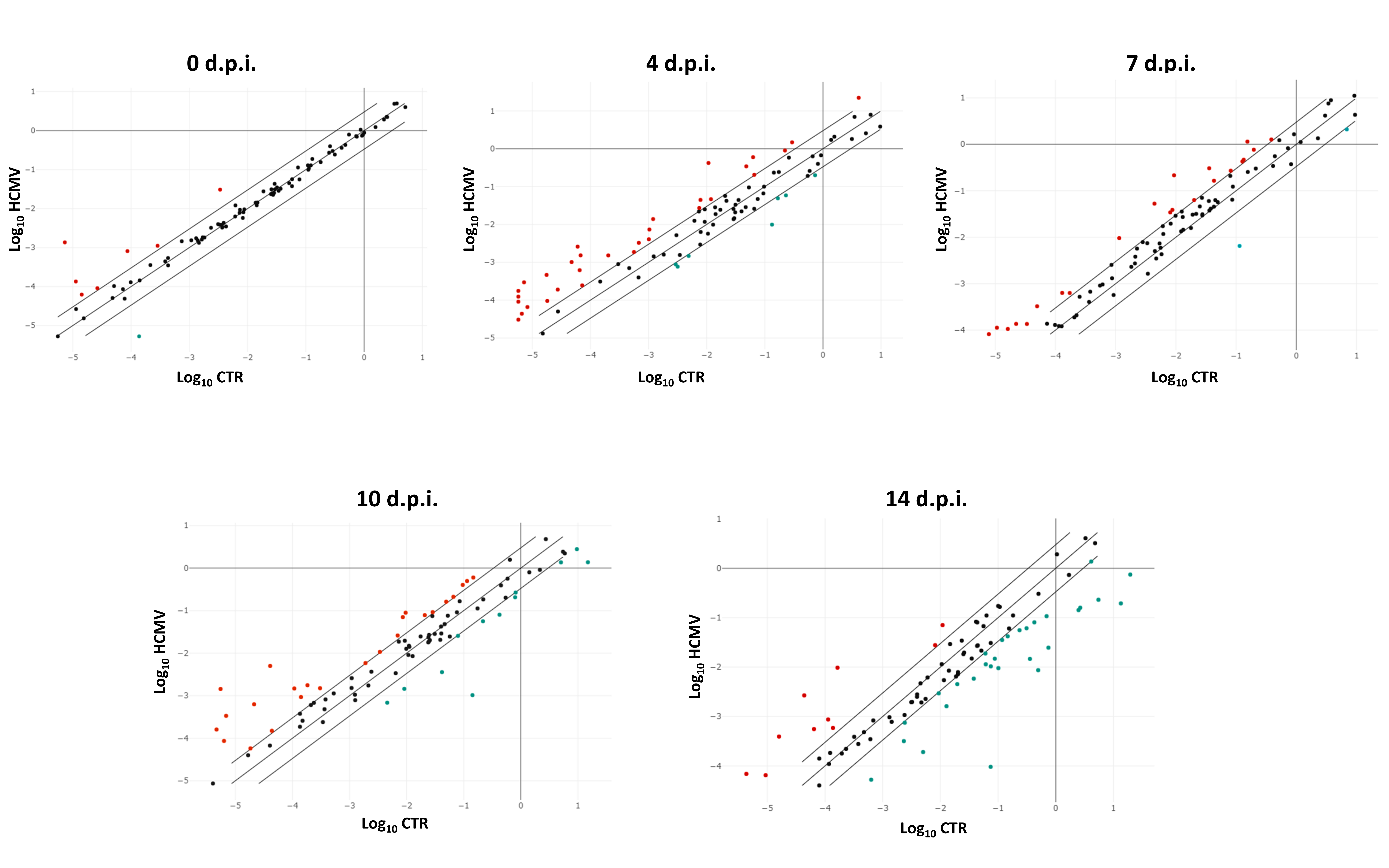 Ijms 21 06397 g001 Ijms 21 06397 g001