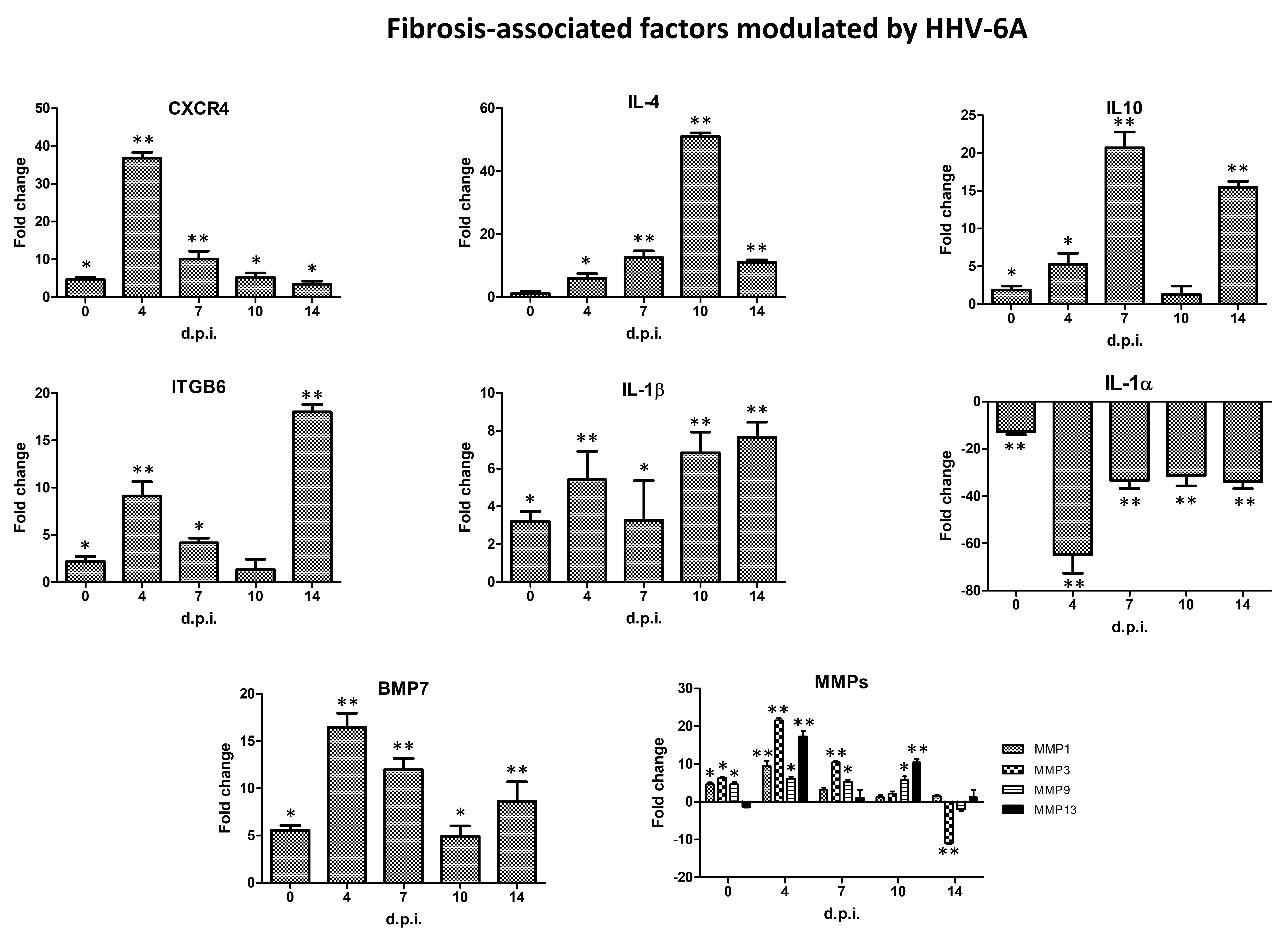 Ijms 21 06397 g004 Ijms 21 06397 g004