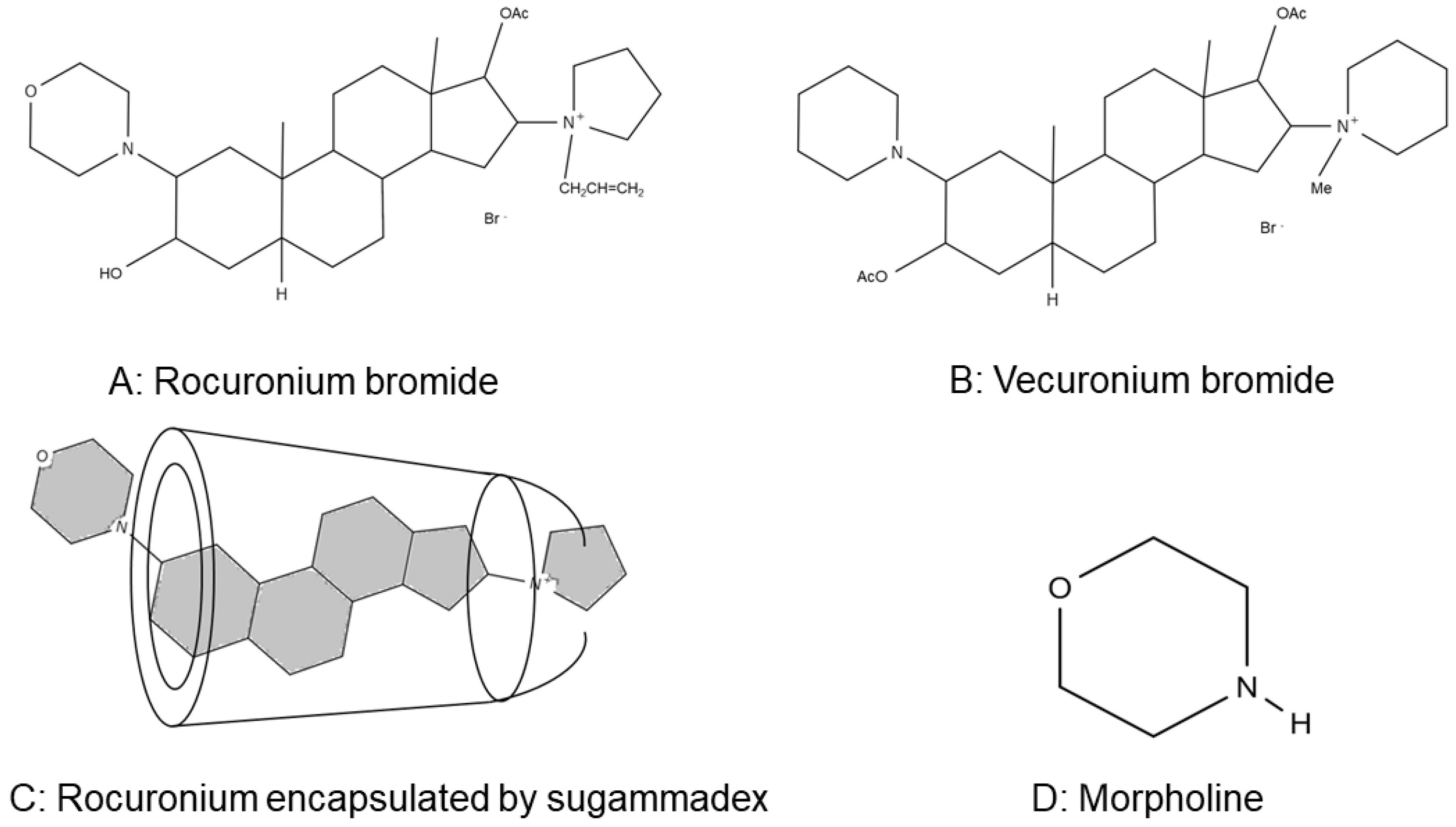 Ijms 21 06399 g001 Ijms 21 06399 g001