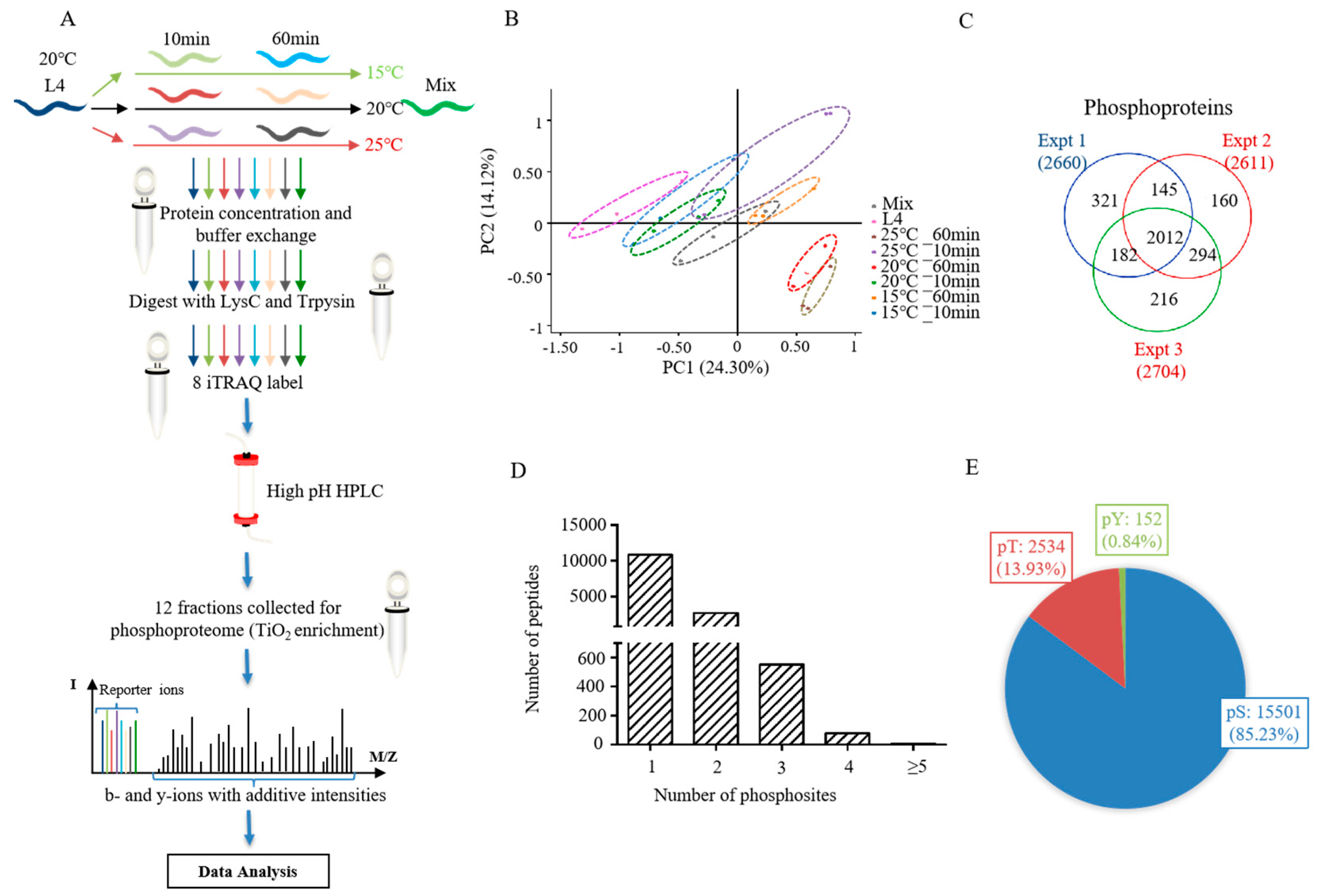 Ijms 21 06409 g001 Ijms 21 06409 g001