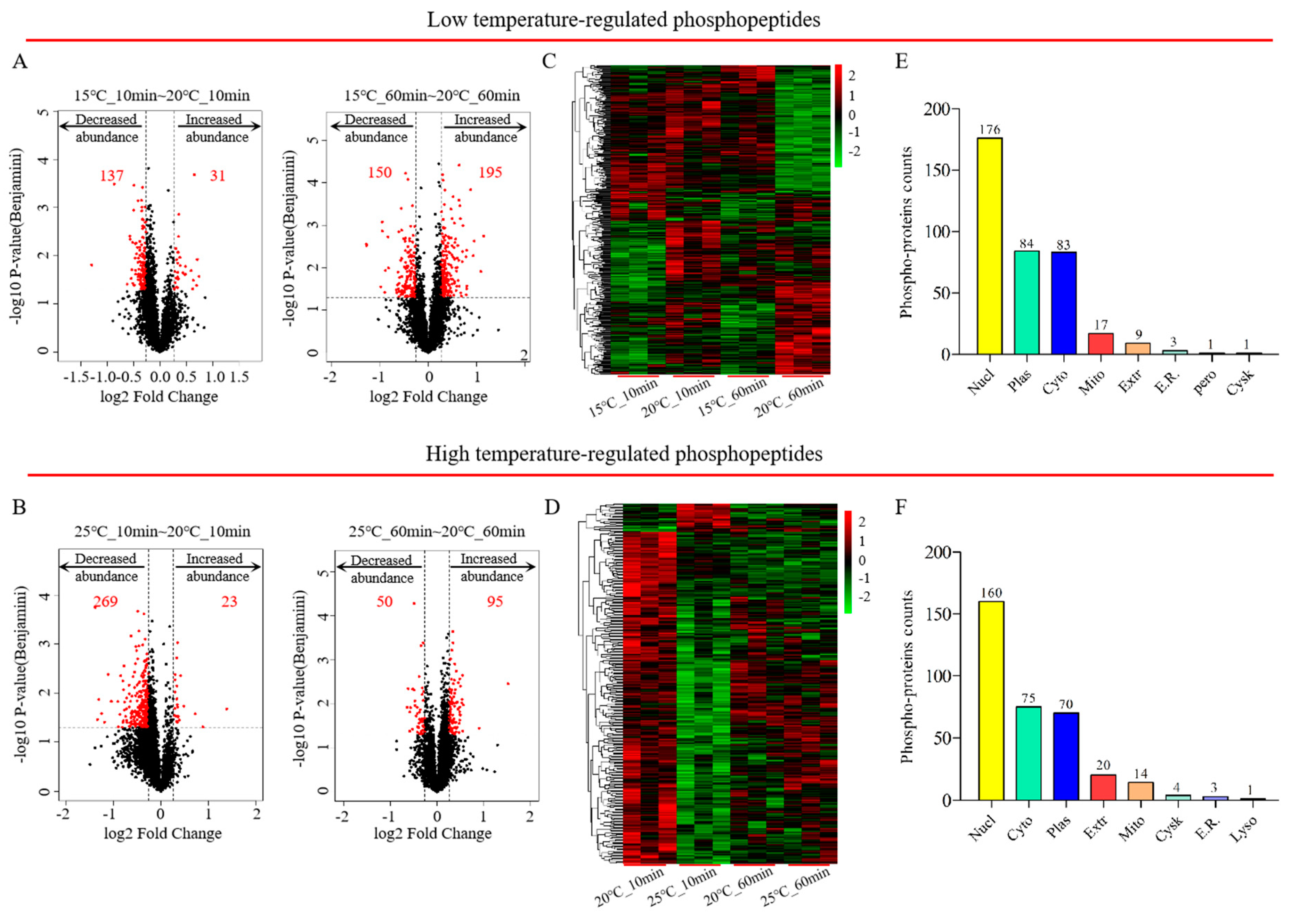 Ijms 21 06409 g002 Ijms 21 06409 g002