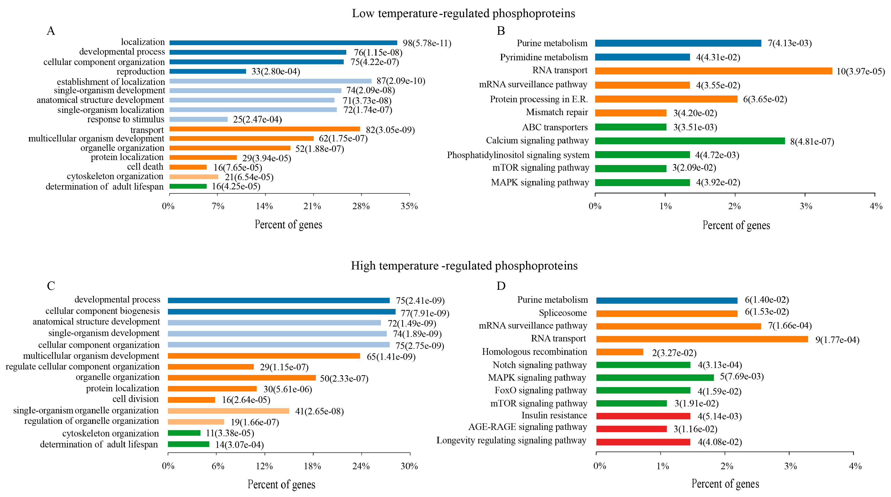 Ijms 21 06409 g003 Ijms 21 06409 g003