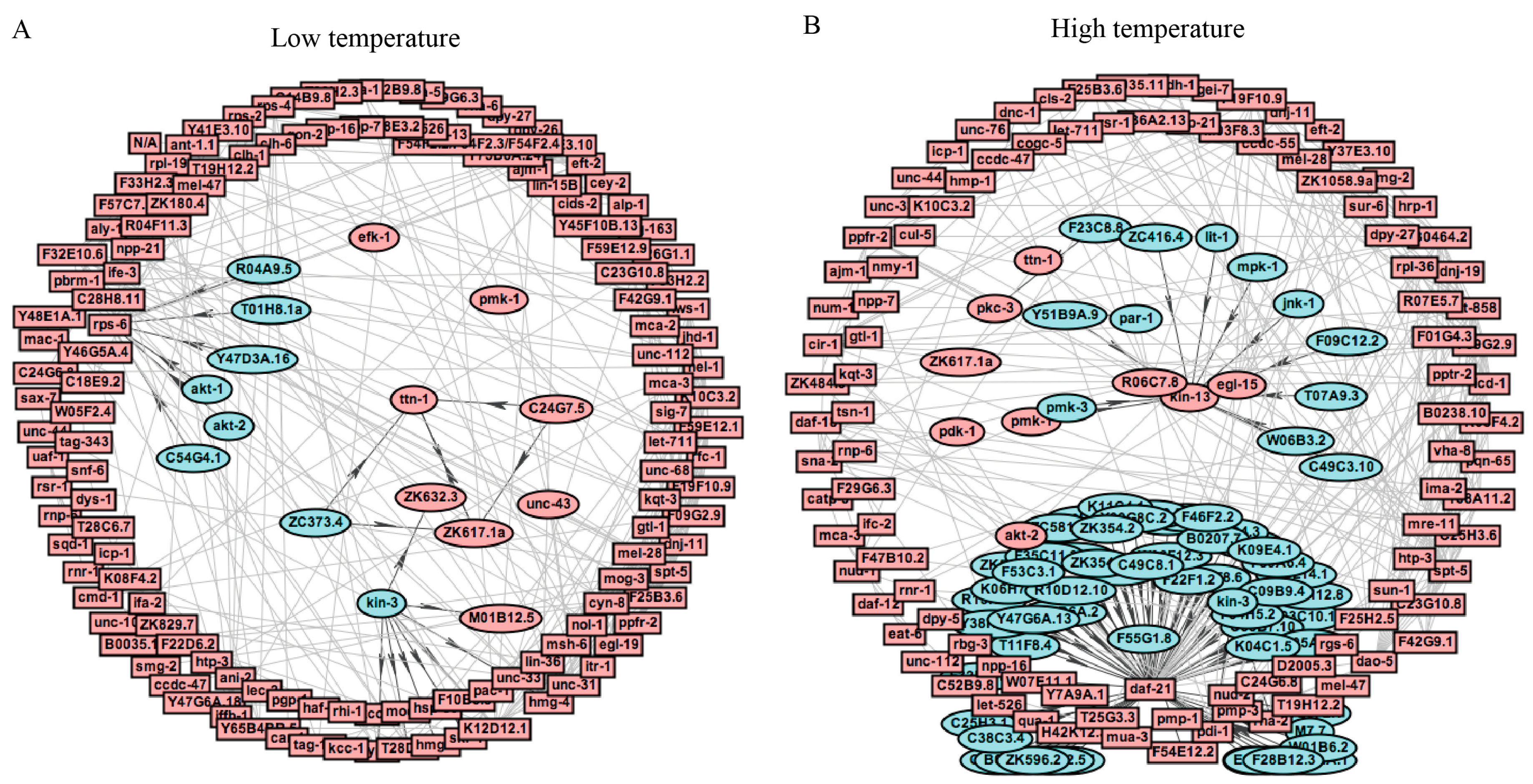 Ijms 21 06409 g006 Ijms 21 06409 g006