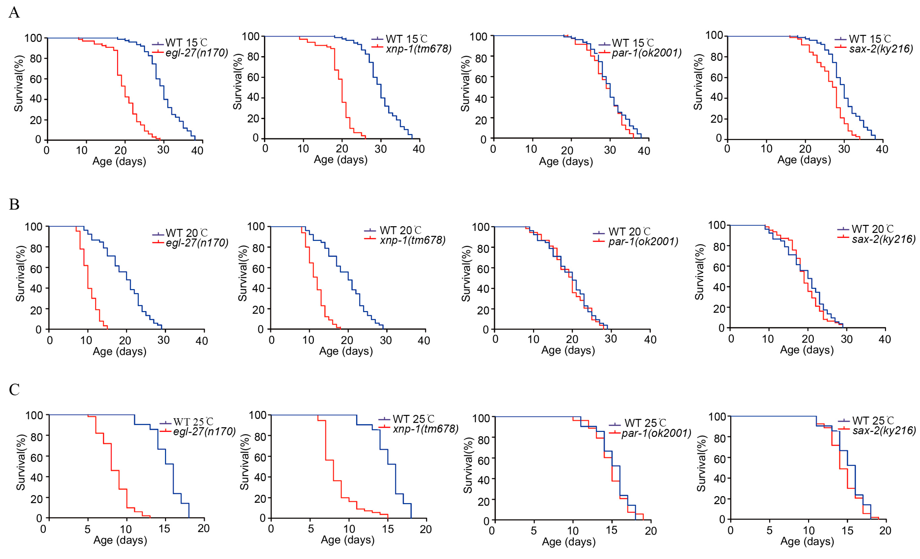 Ijms 21 06409 g007 Ijms 21 06409 g007