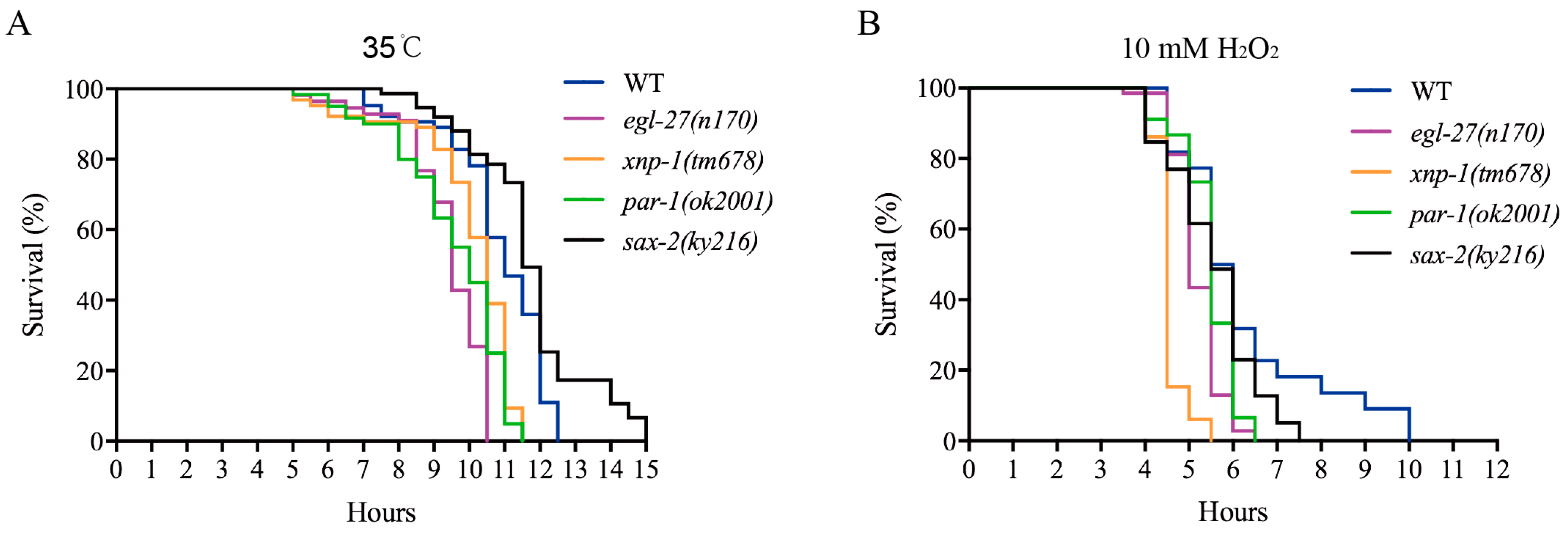 Ijms 21 06409 g008 Ijms 21 06409 g008