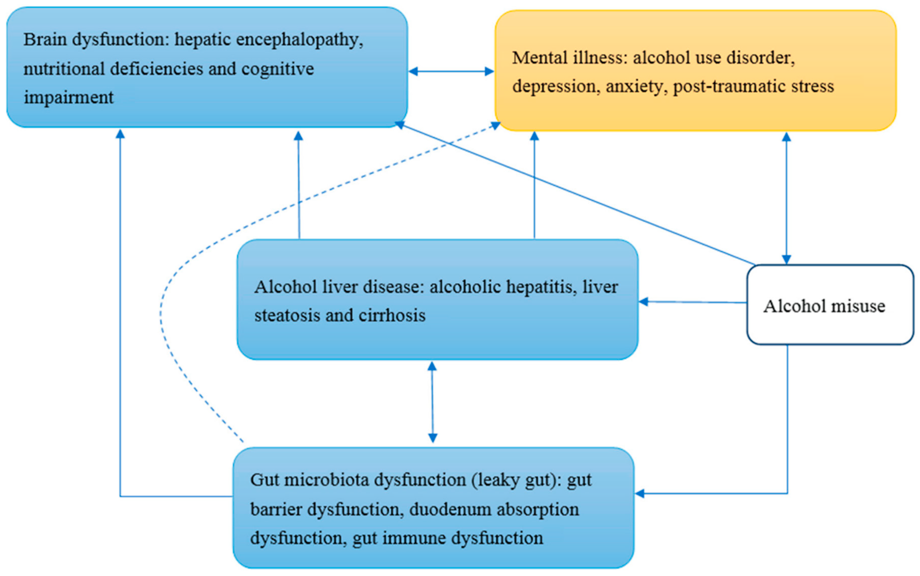 Ijms Free Full Text Alcohol Addiction Gut Microbiota And Alcoholism Treatment A Review Html