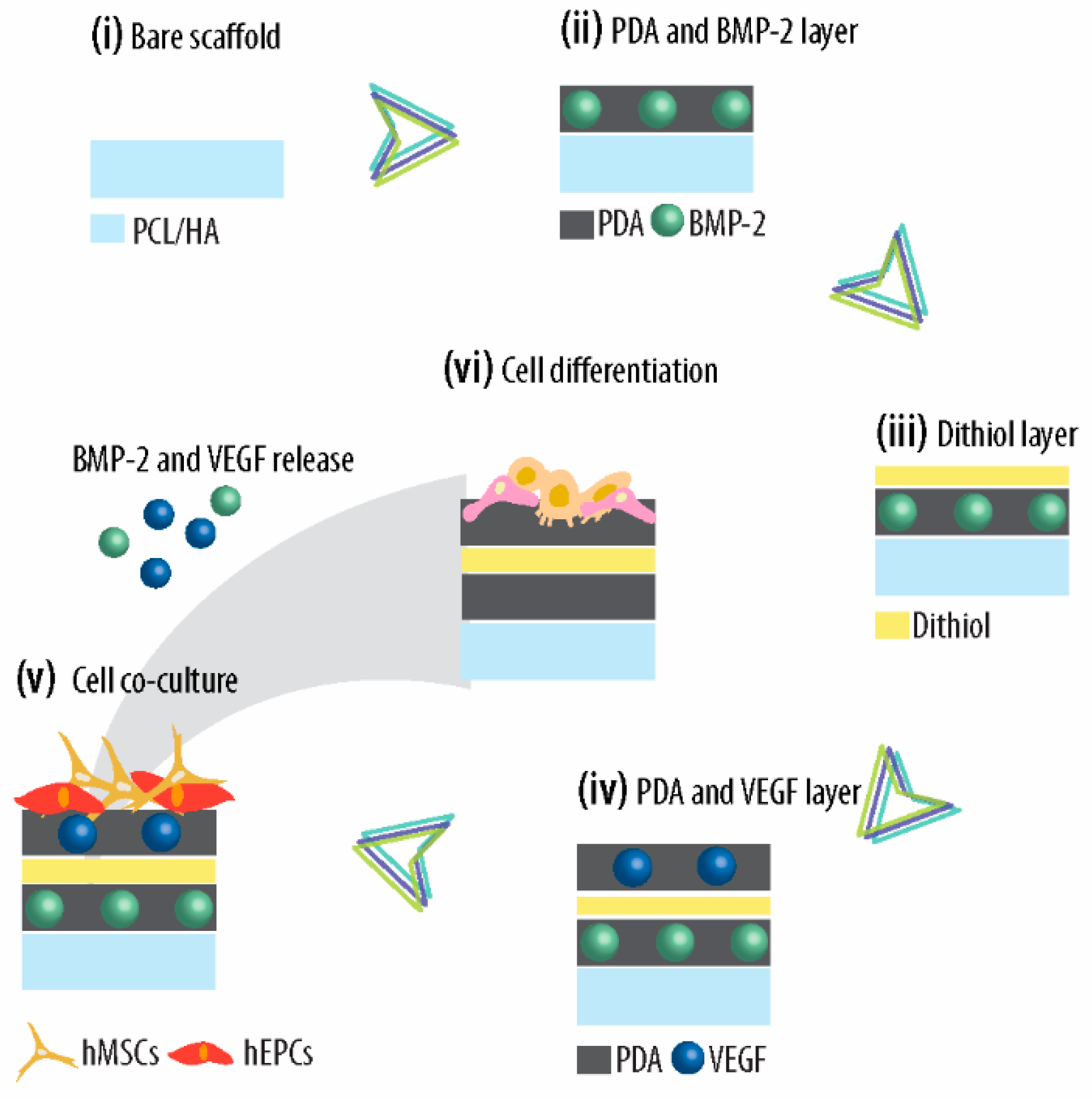 Ijms 21 06418 sch001