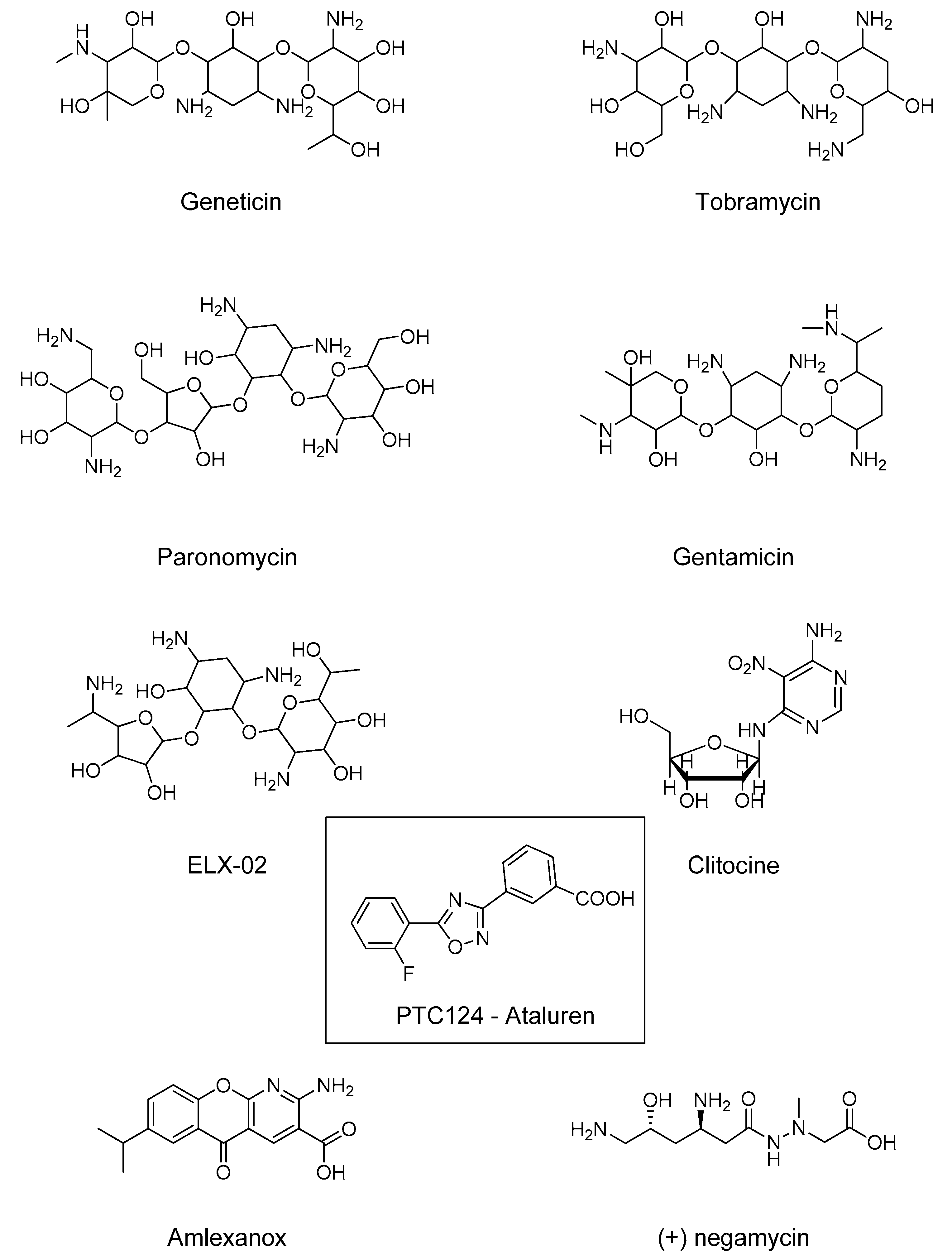 Ijms 21 06420 g003 Ijms 21 06420 g003