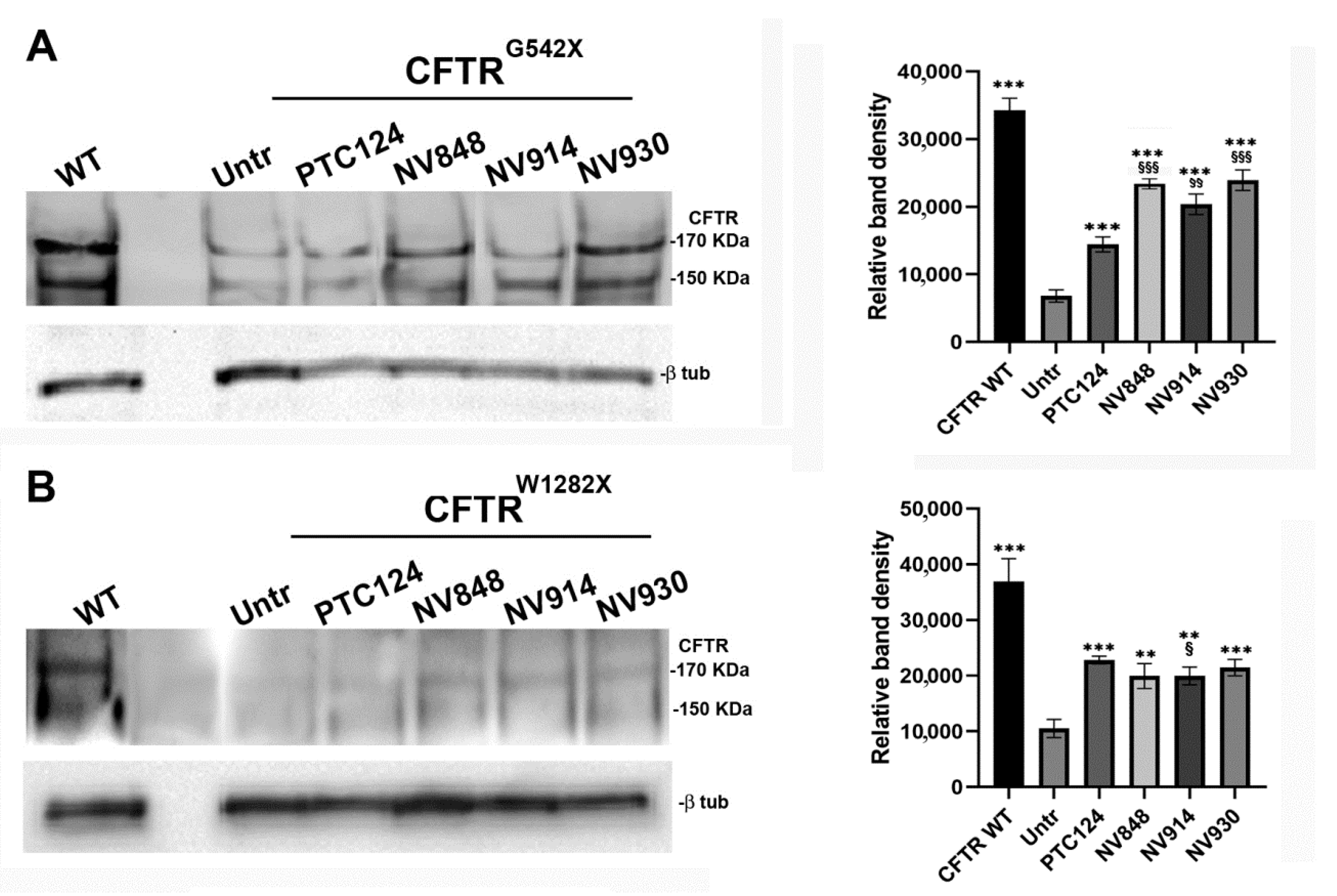 Ijms 21 06420 g008 Ijms 21 06420 g008