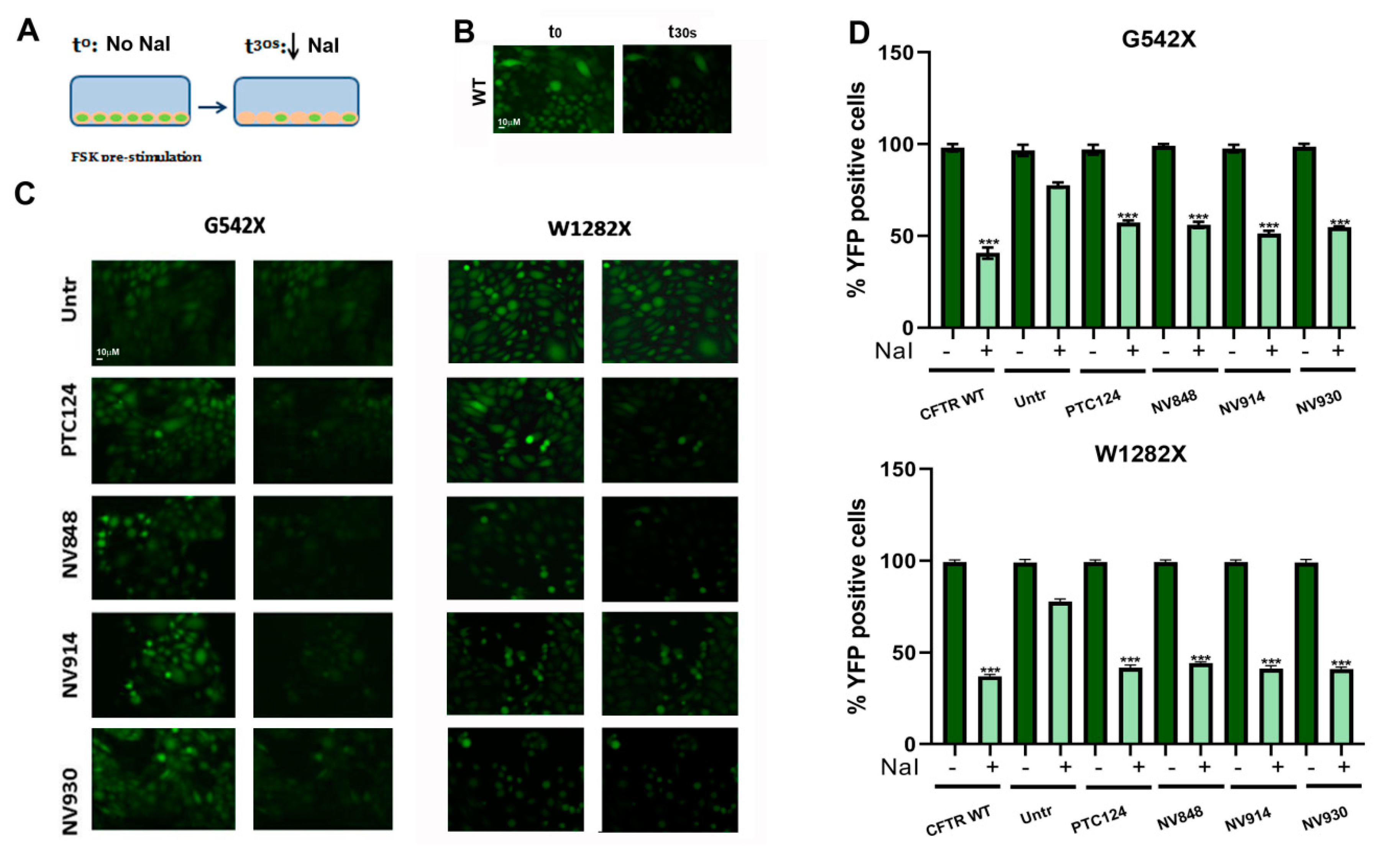 Ijms 21 06420 g009 Ijms 21 06420 g009