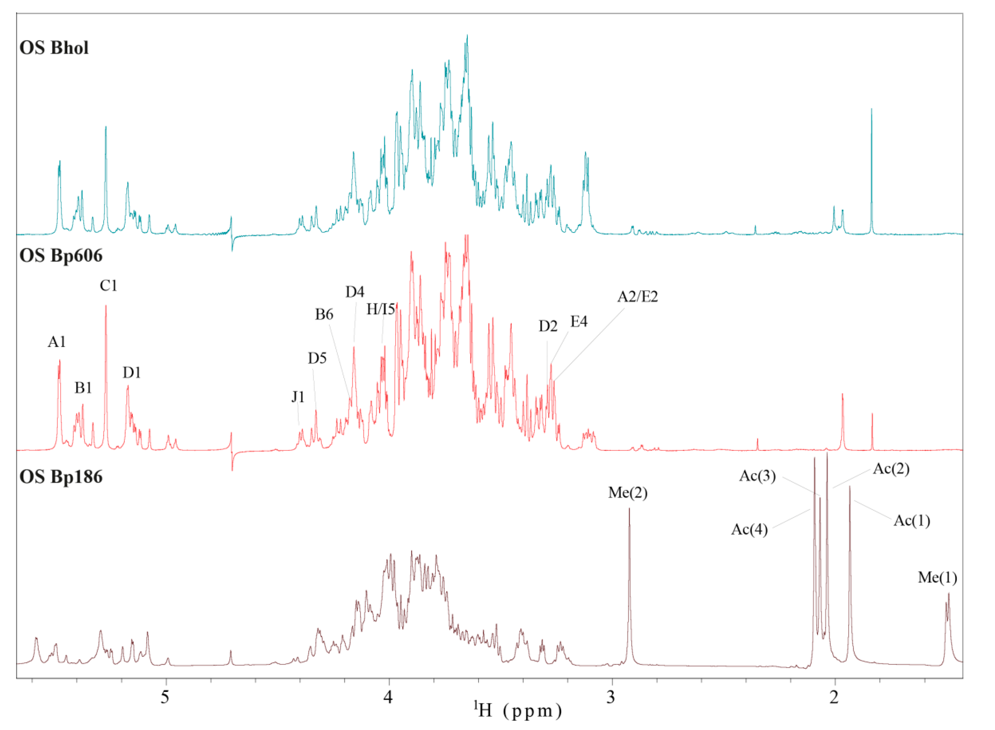 Ijms 21 06433 g008 Ijms 21 06433 g008