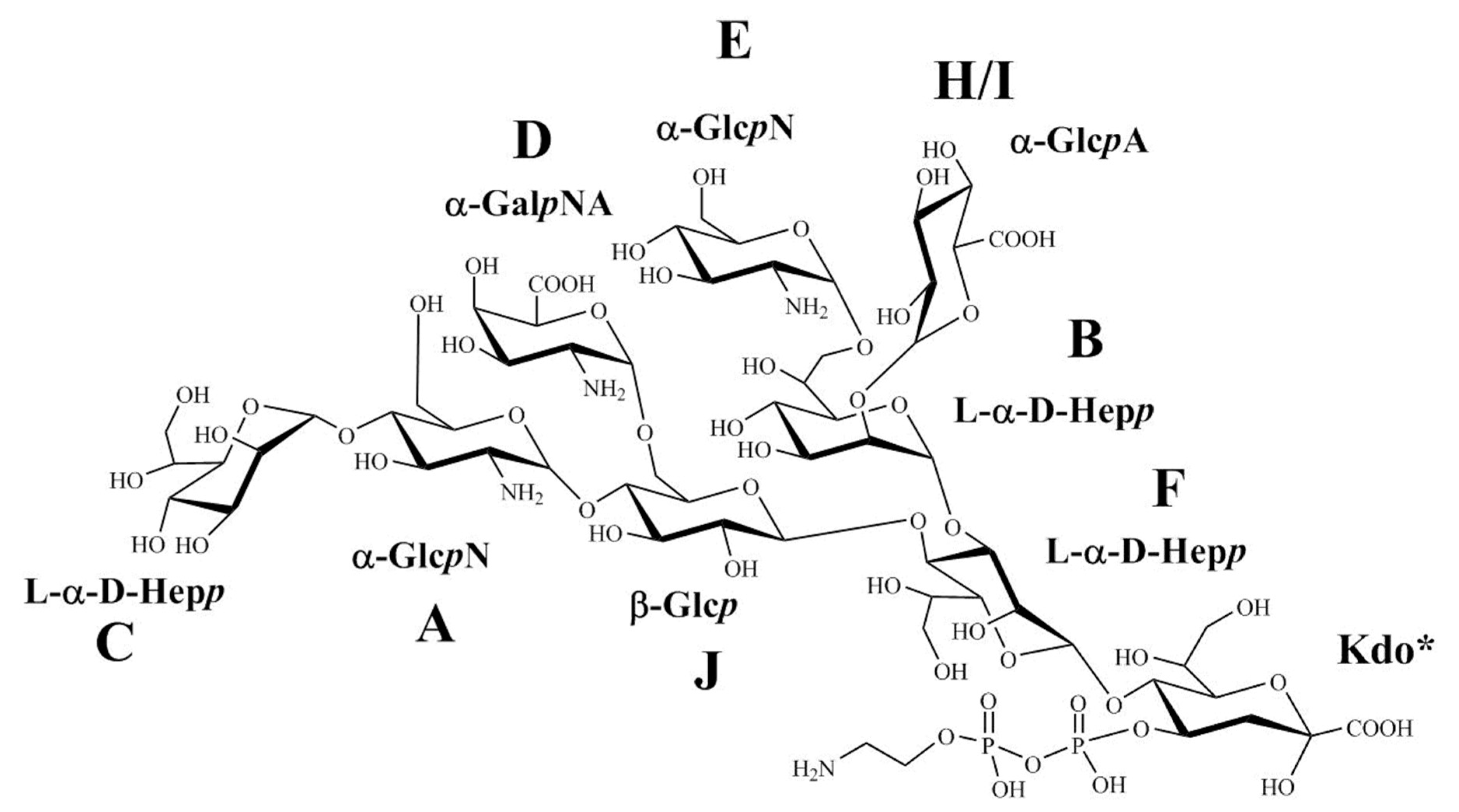 Ijms 21 06433 g010 Ijms 21 06433 g010