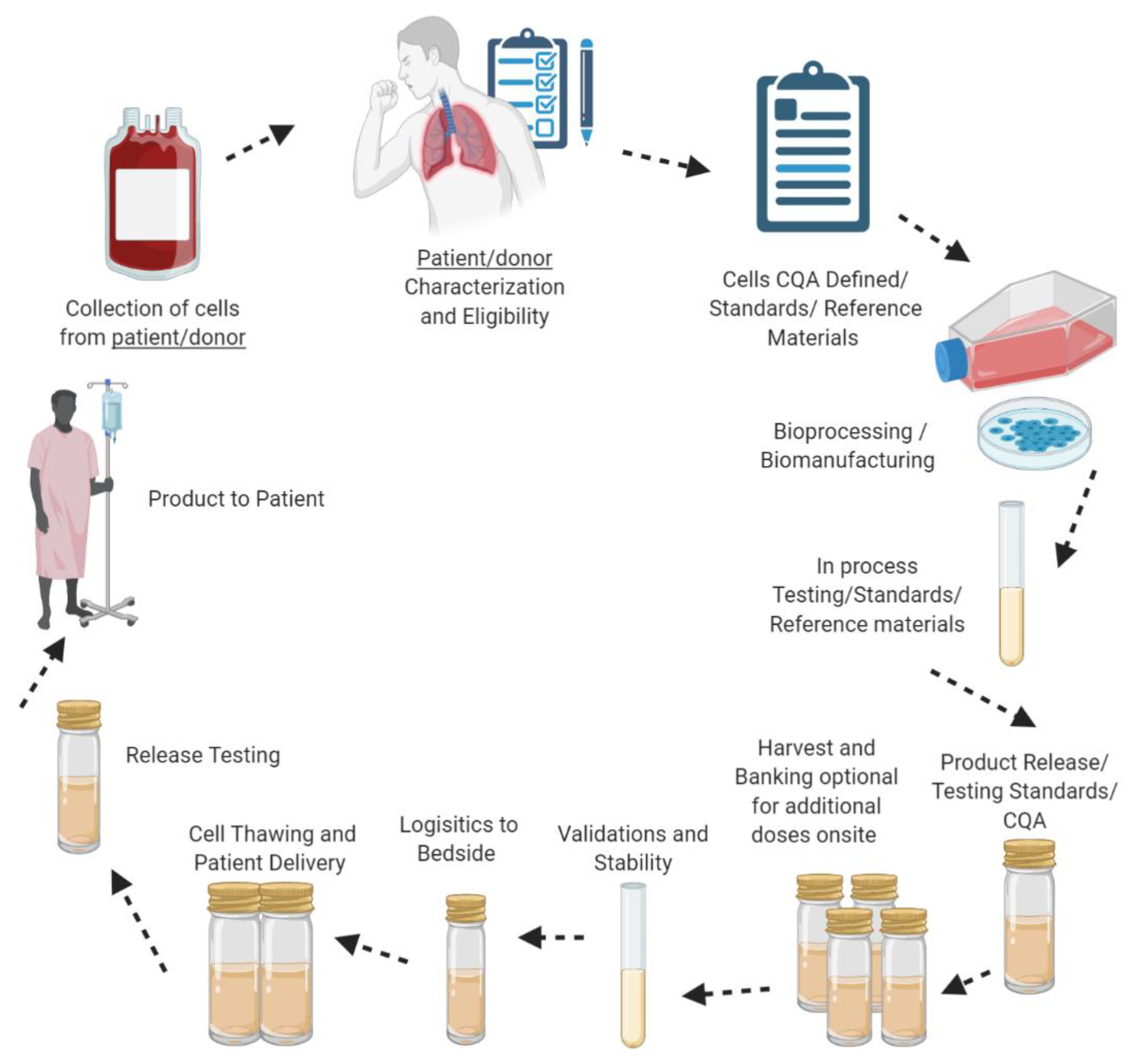 Ijms 21 06435 g004 Ijms 21 06435 g004