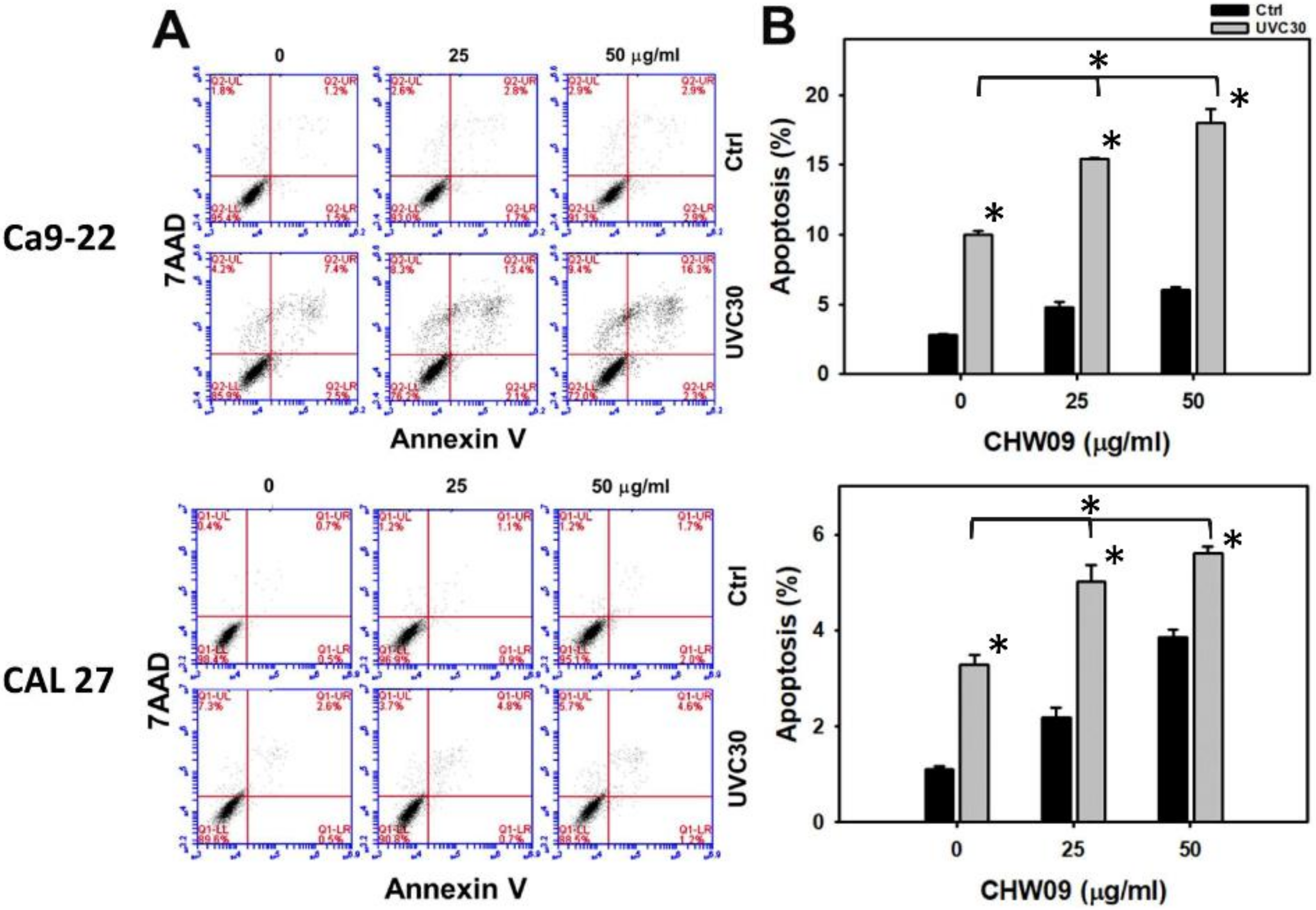 Ijms 21 06443 g003 Ijms 21 06443 g003