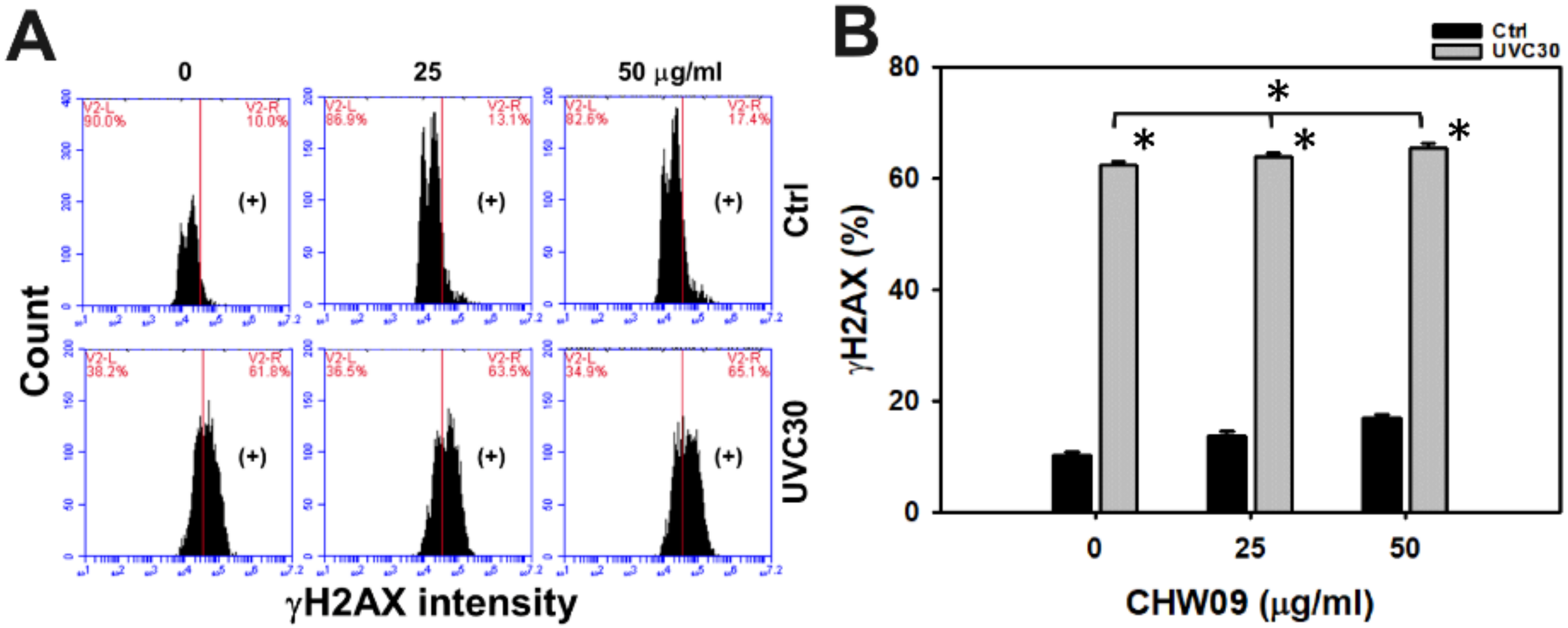 Ijms 21 06443 g008 Ijms 21 06443 g008