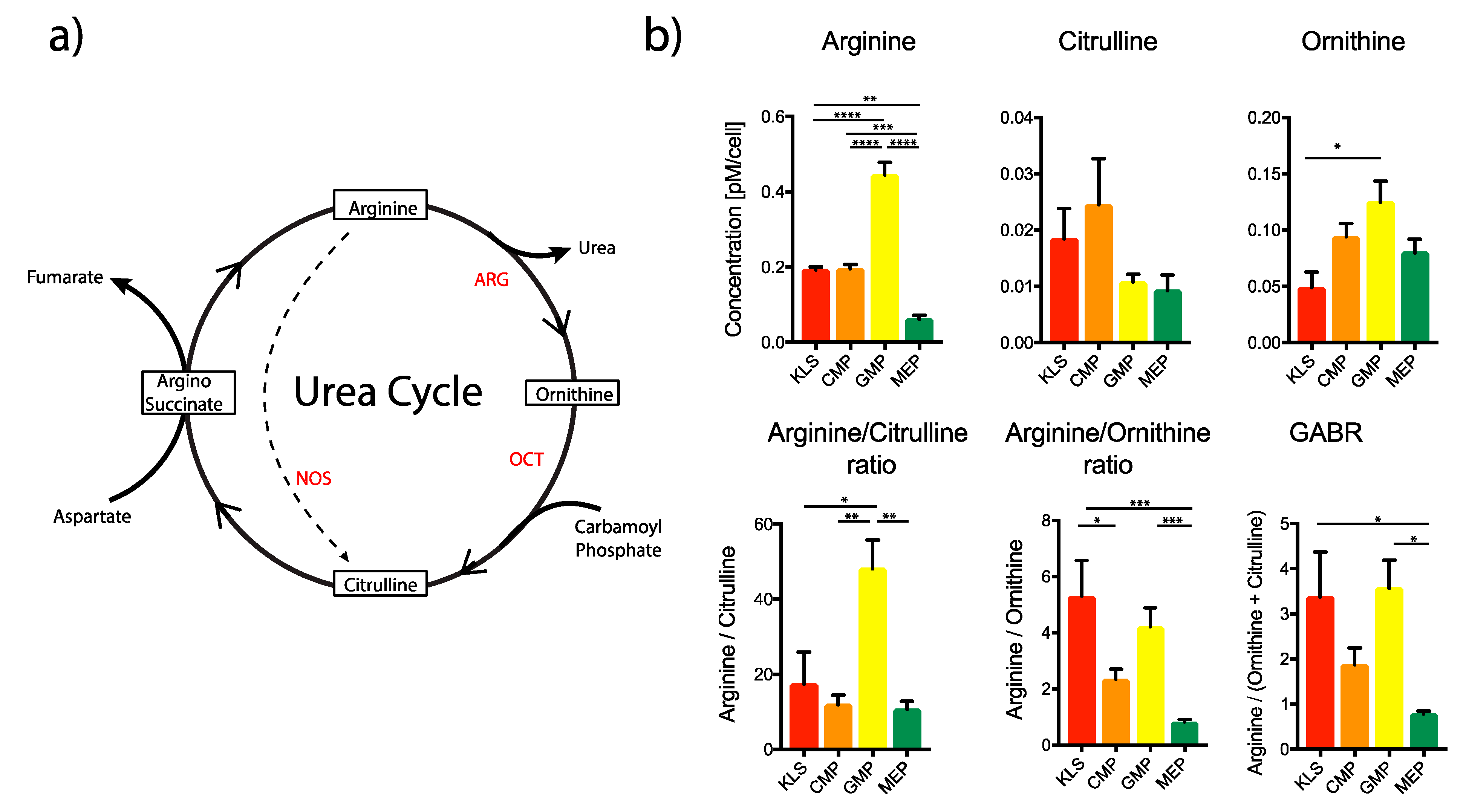 Ijms 21 06444 g002 Ijms 21 06444 g002