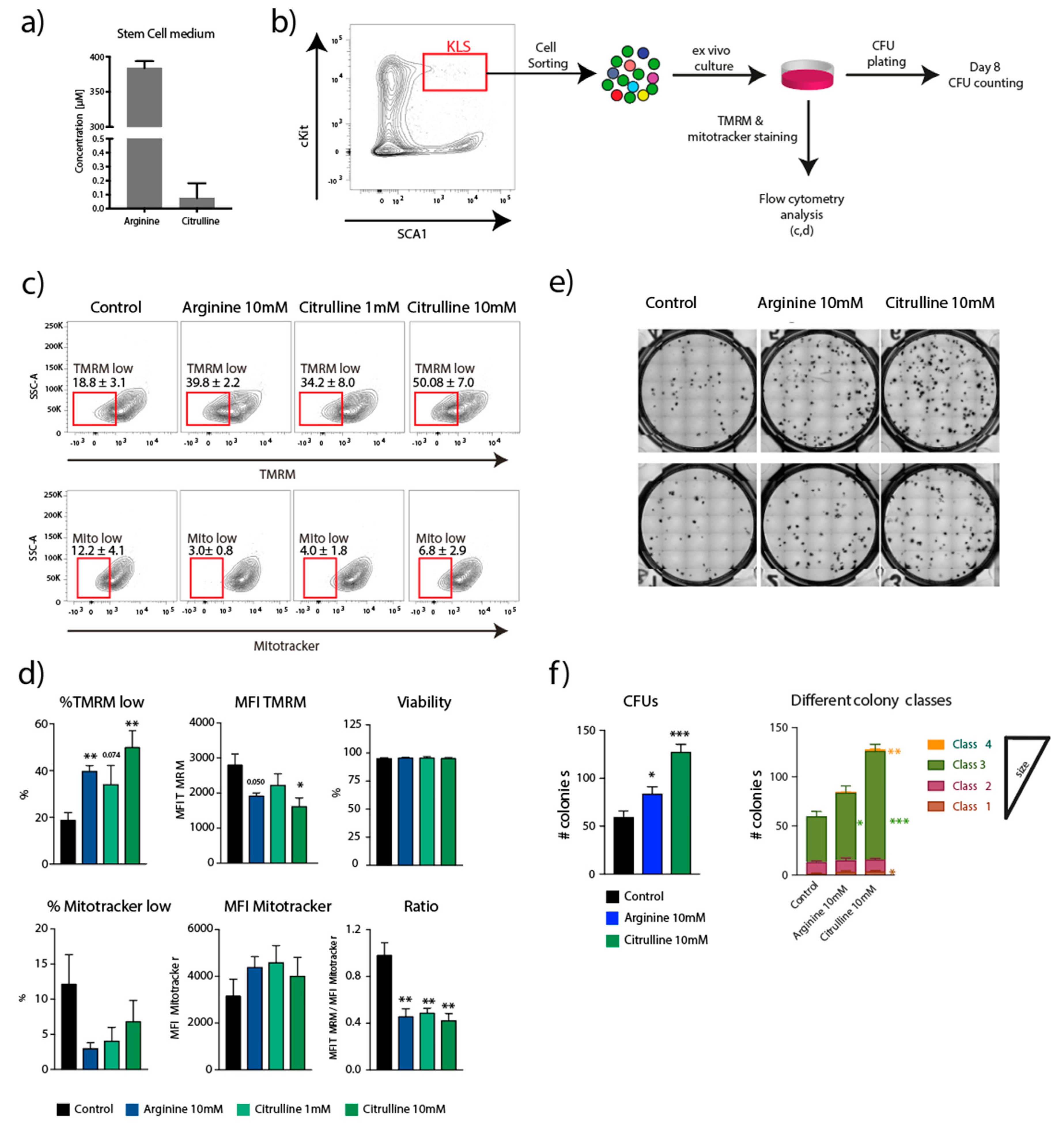Ijms 21 06444 g003 Ijms 21 06444 g003