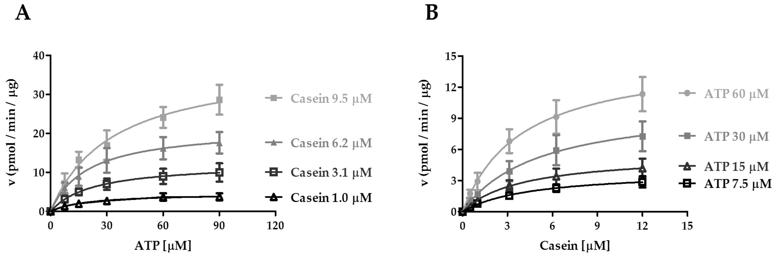 Ijms 21 06449 g002 Ijms 21 06449 g002
