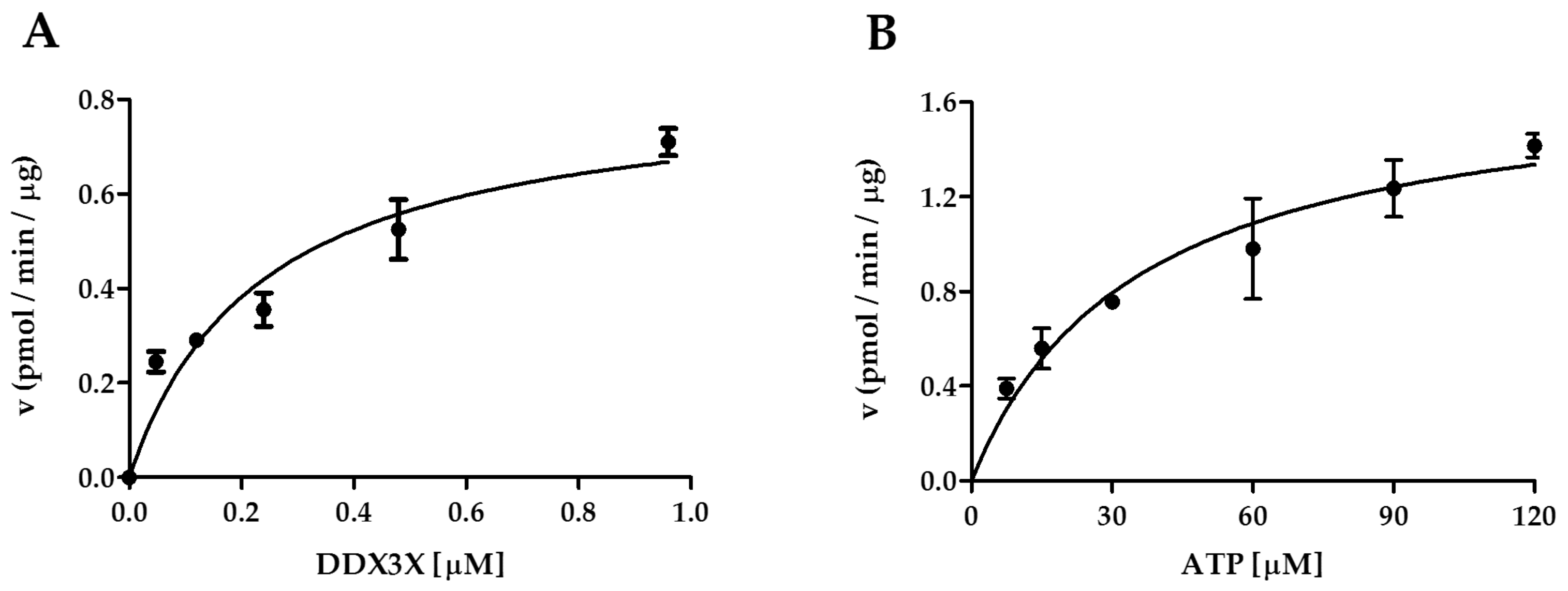 Ijms 21 06449 g003 Ijms 21 06449 g003