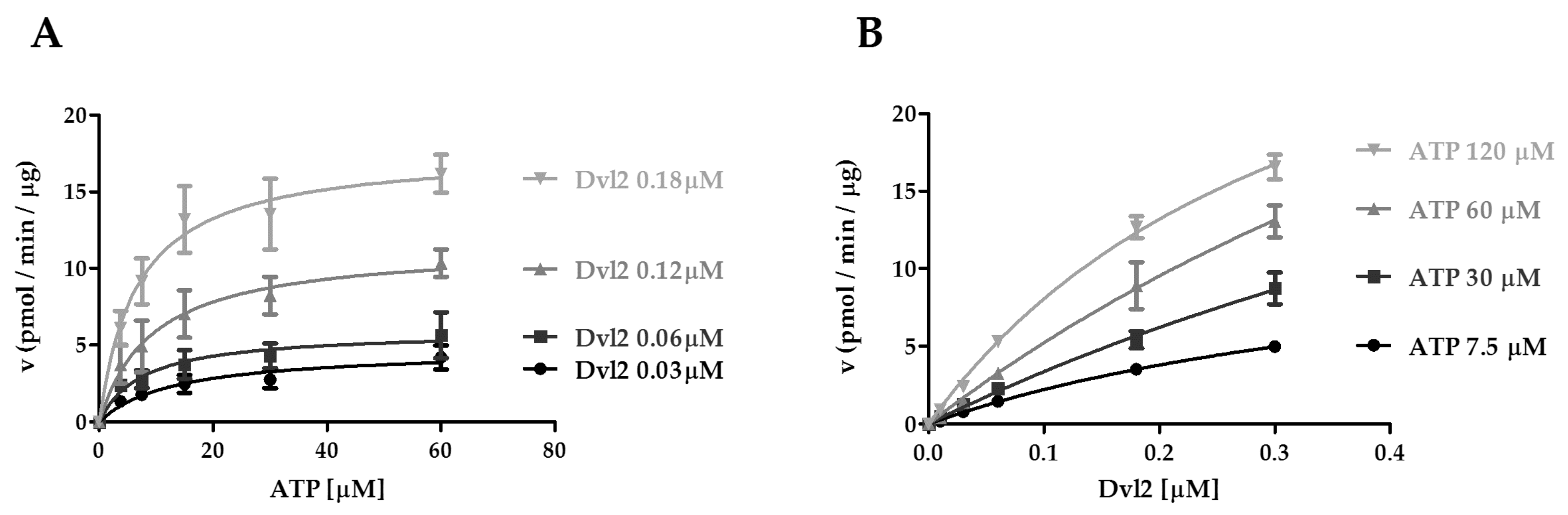 Ijms 21 06449 g005 Ijms 21 06449 g005