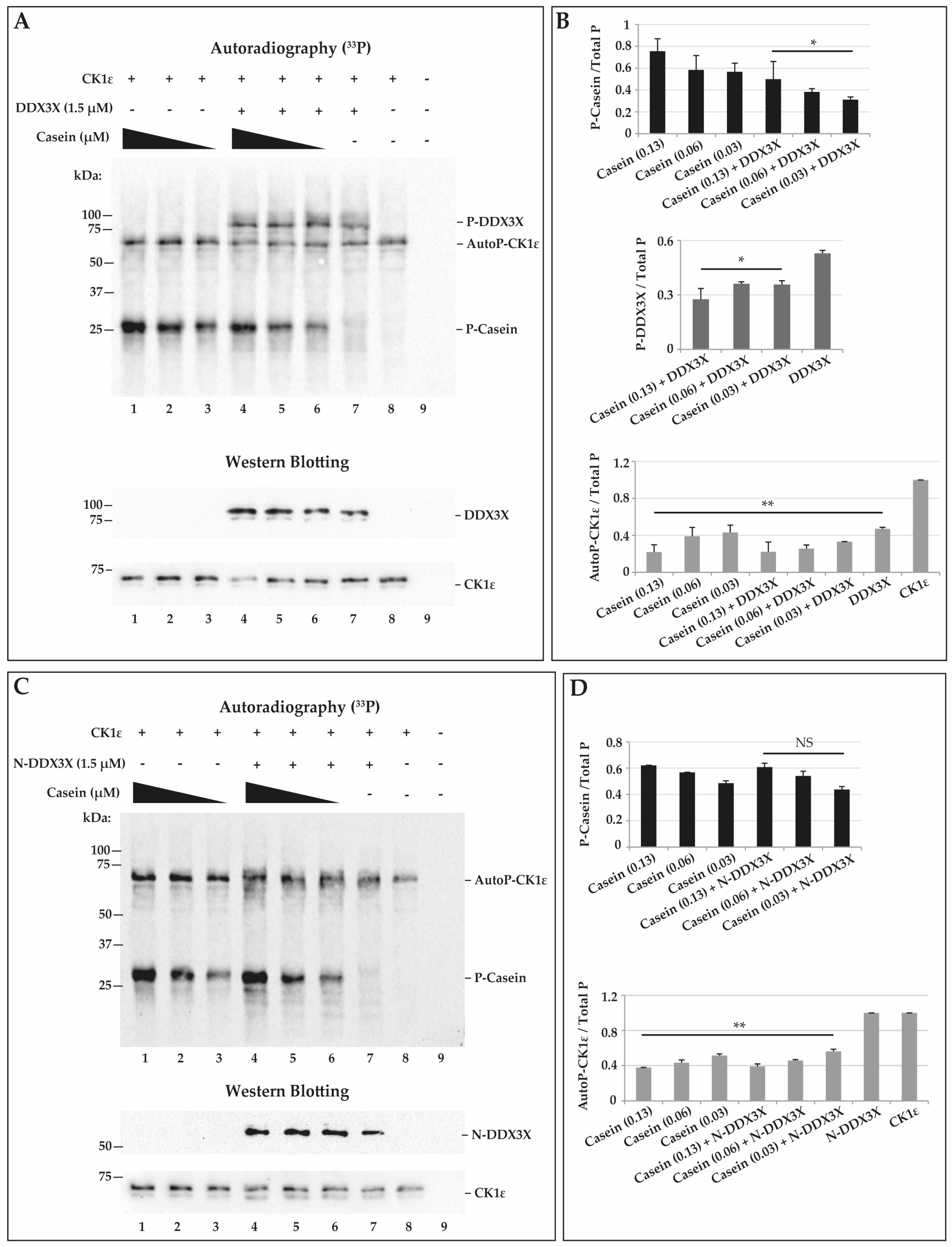 Ijms 21 06449 g006 Ijms 21 06449 g006