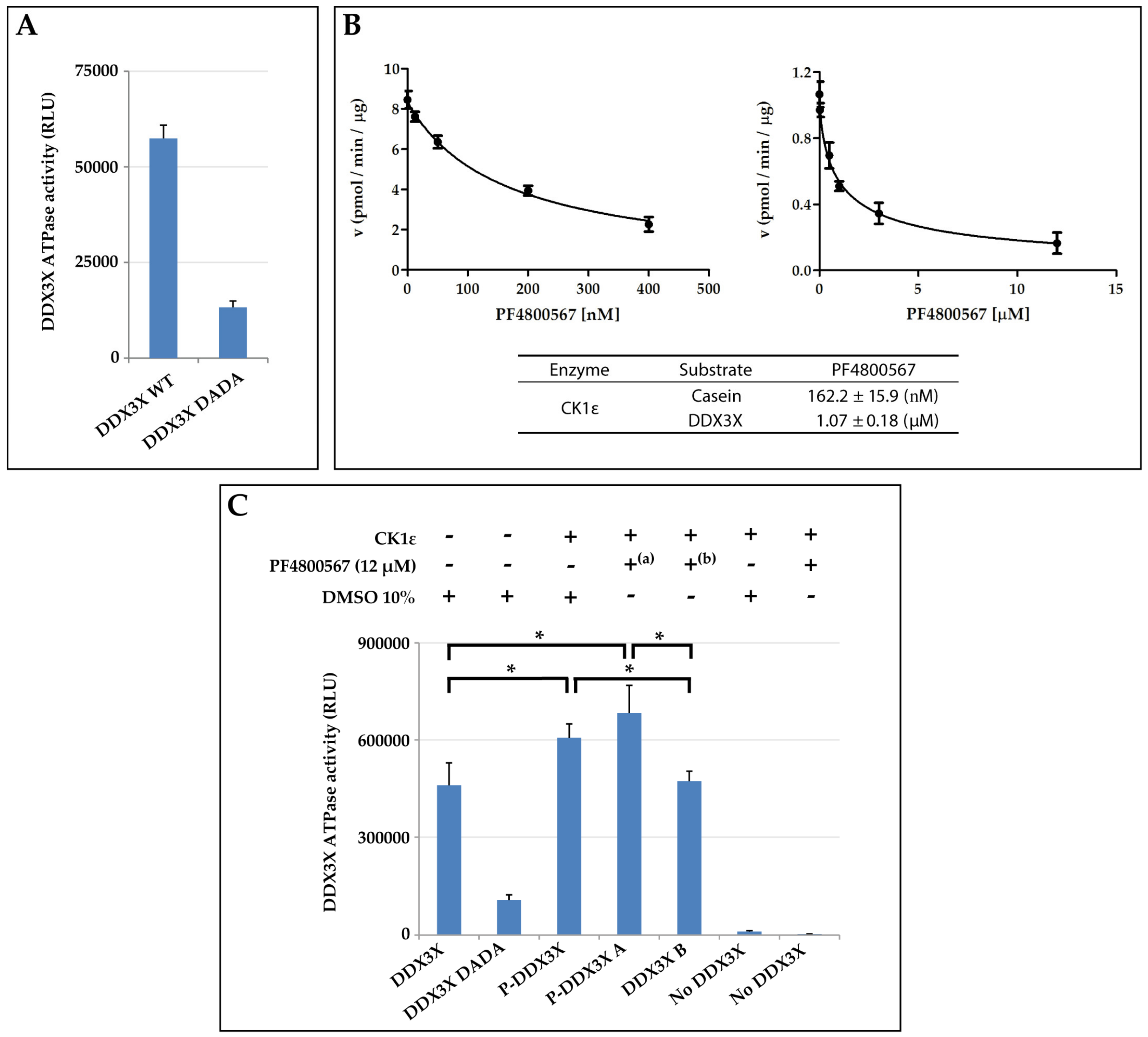 Ijms 21 06449 g007 Ijms 21 06449 g007