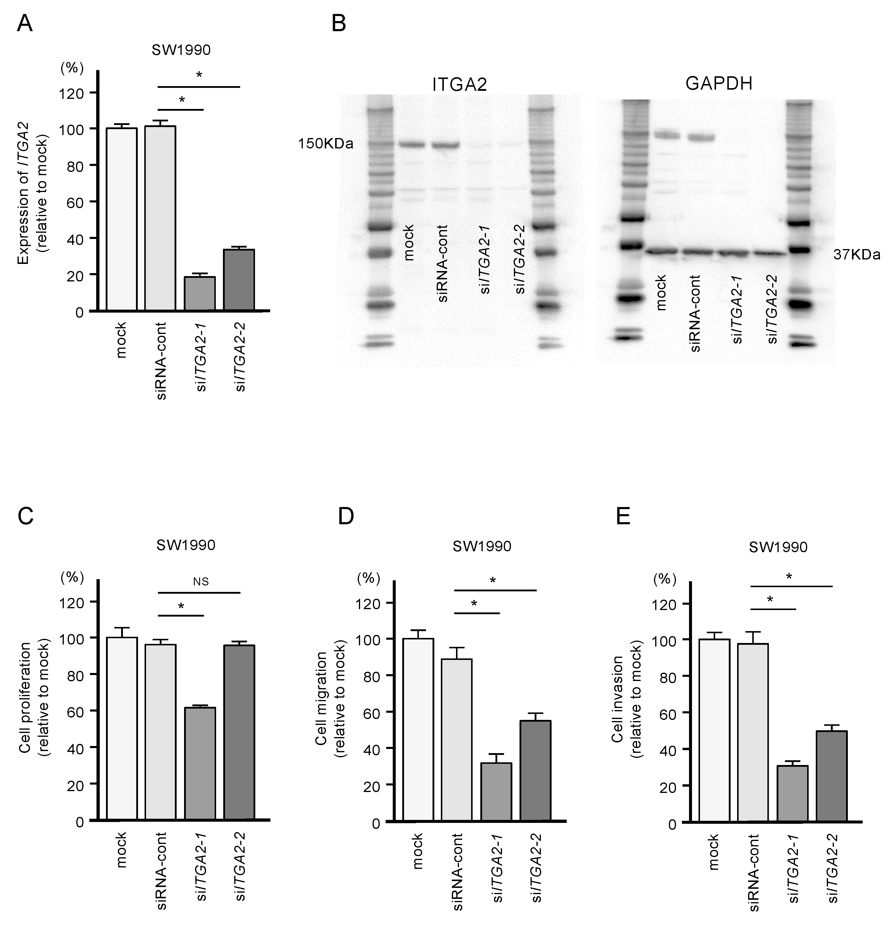 Ijms 21 06459 g008 Ijms 21 06459 g008