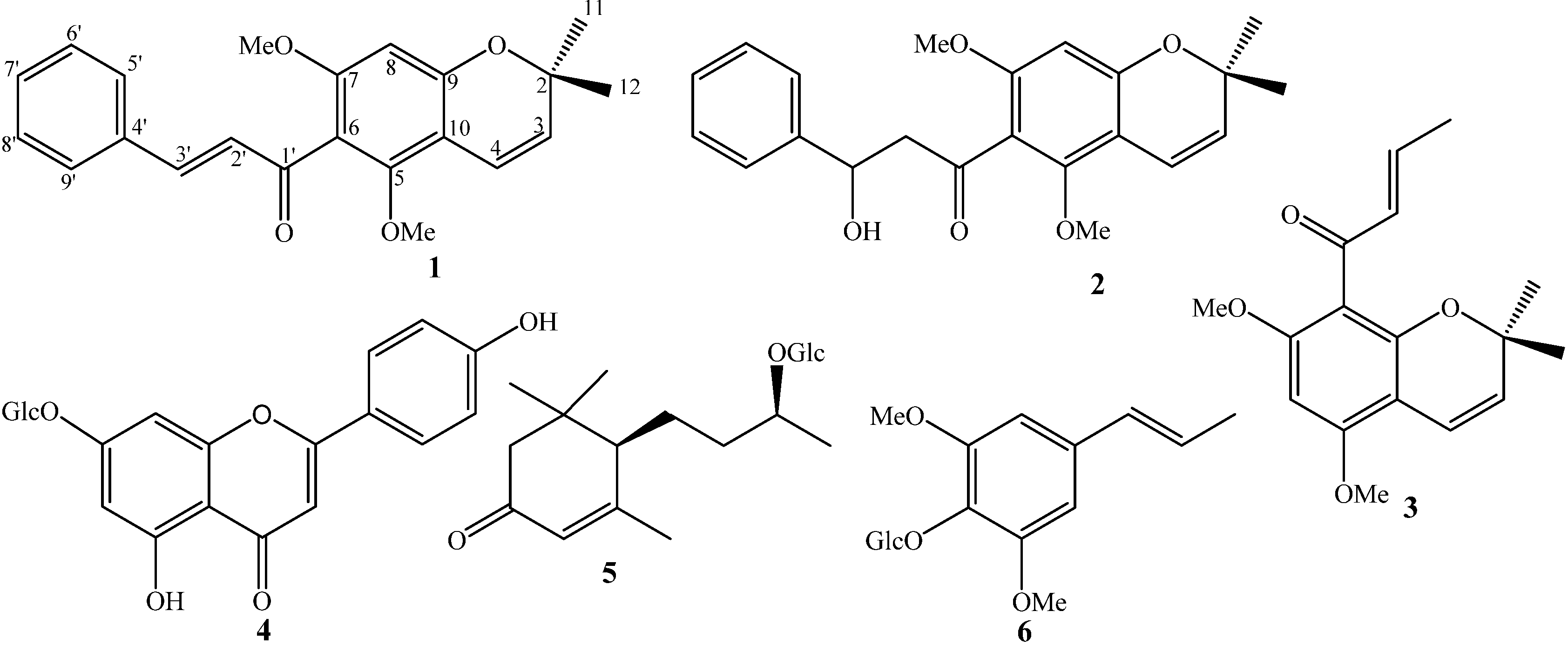 Ijms 21 06470 g001 Ijms 21 06470 g001